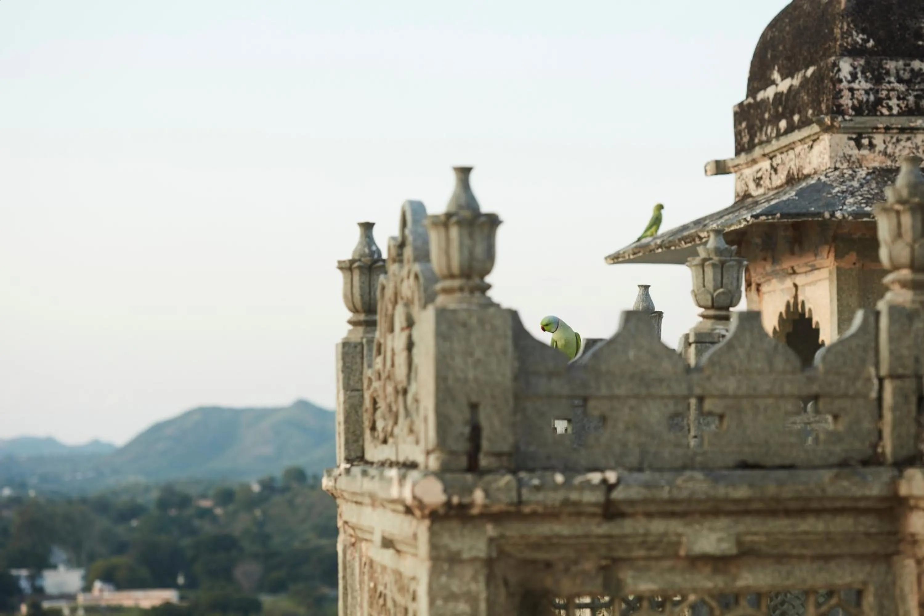 Day in RAAS Devigarh