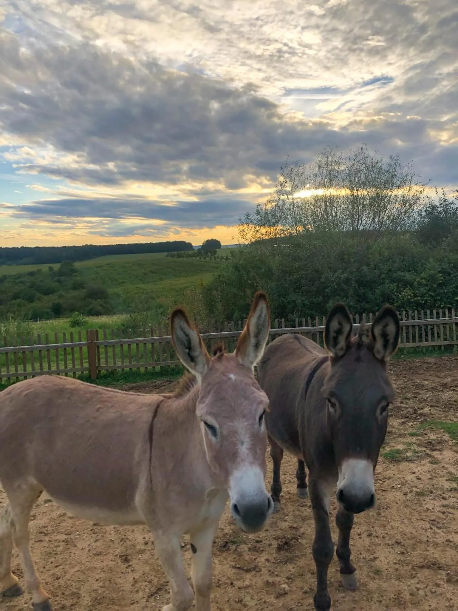 Off site in Bukovanský mlýn