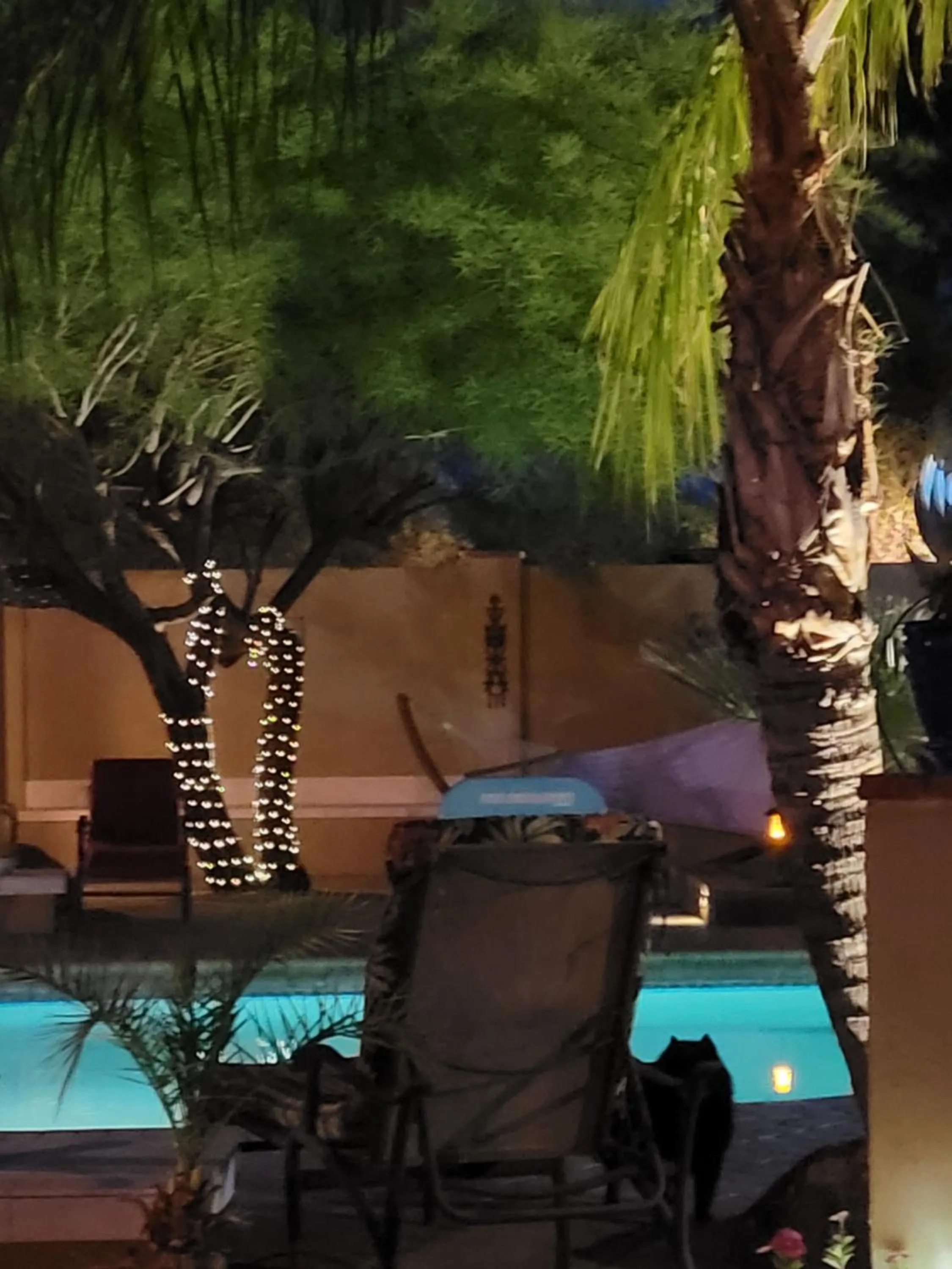 Pool view in Private, Quite Casita , N. Scottsdale area,Private Pool & Patio, Cave Creek Az.