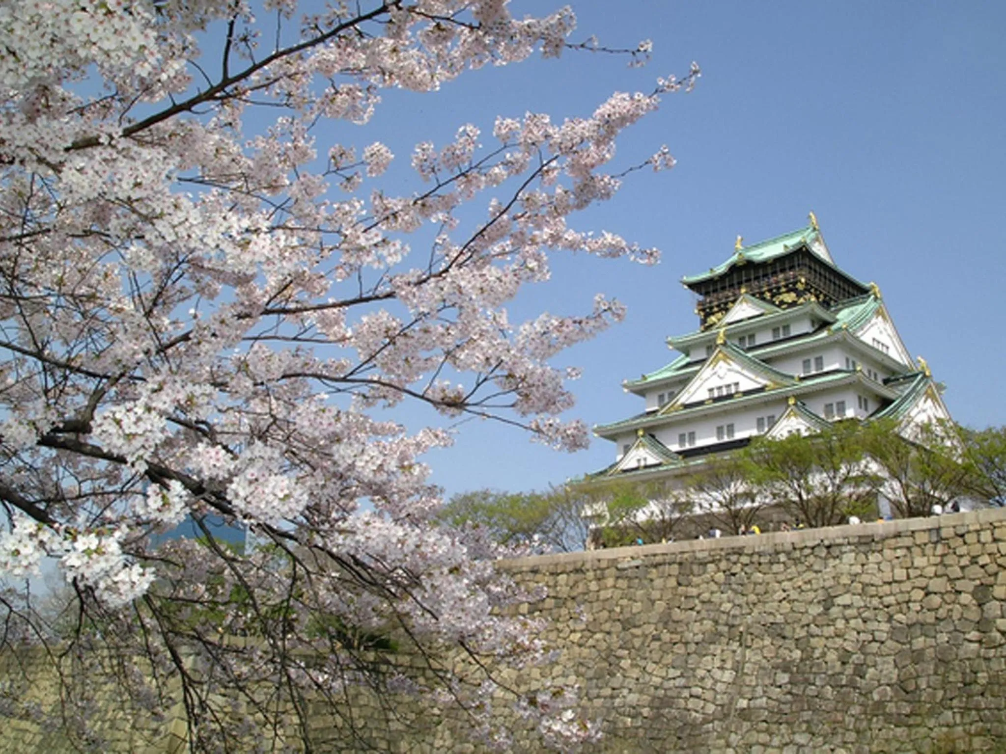 Hotel Oaks Early-Bird Osaka Morinomiya/ Vacation STAY 28791