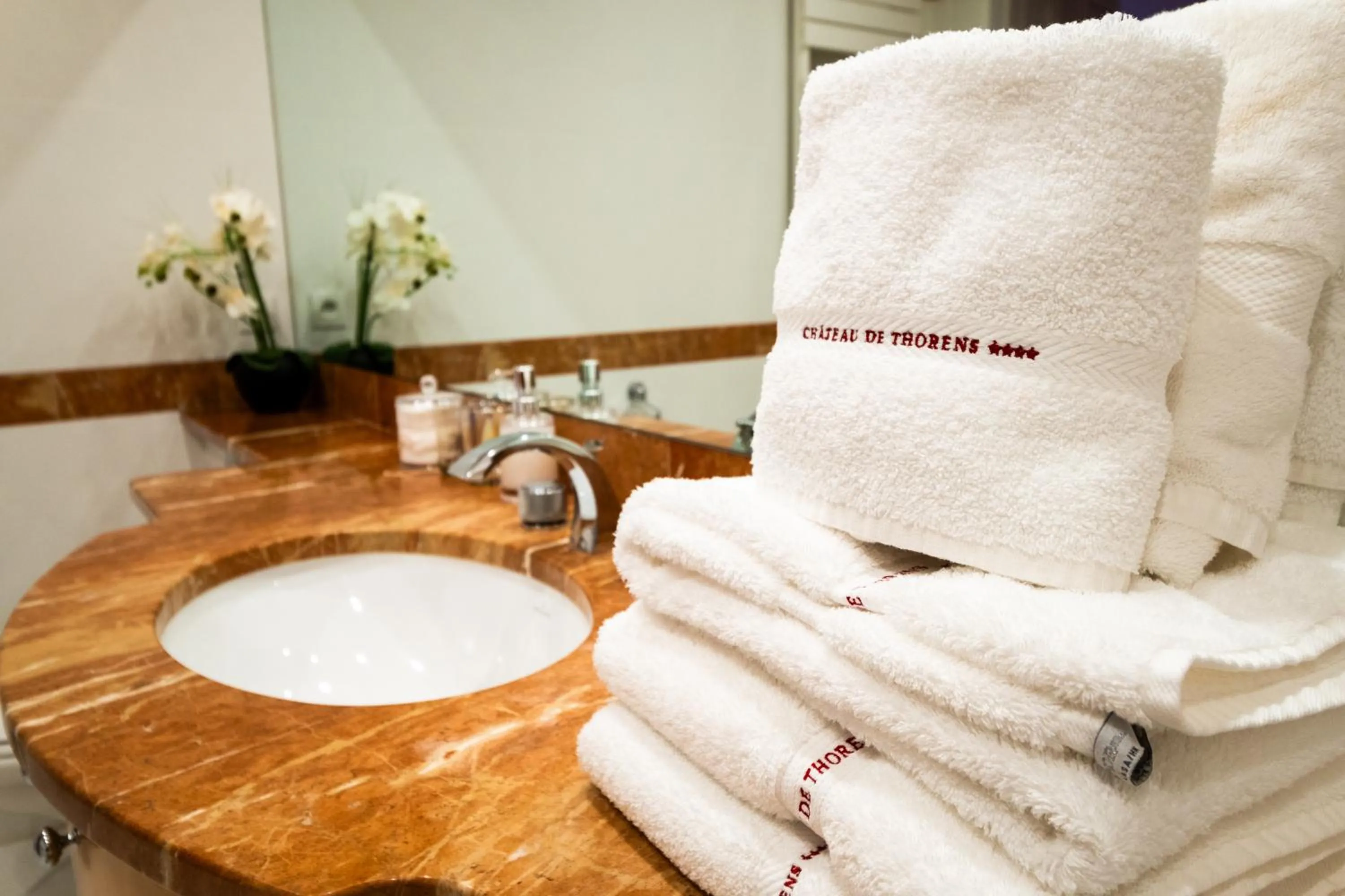 Bathroom in Château de Thorens