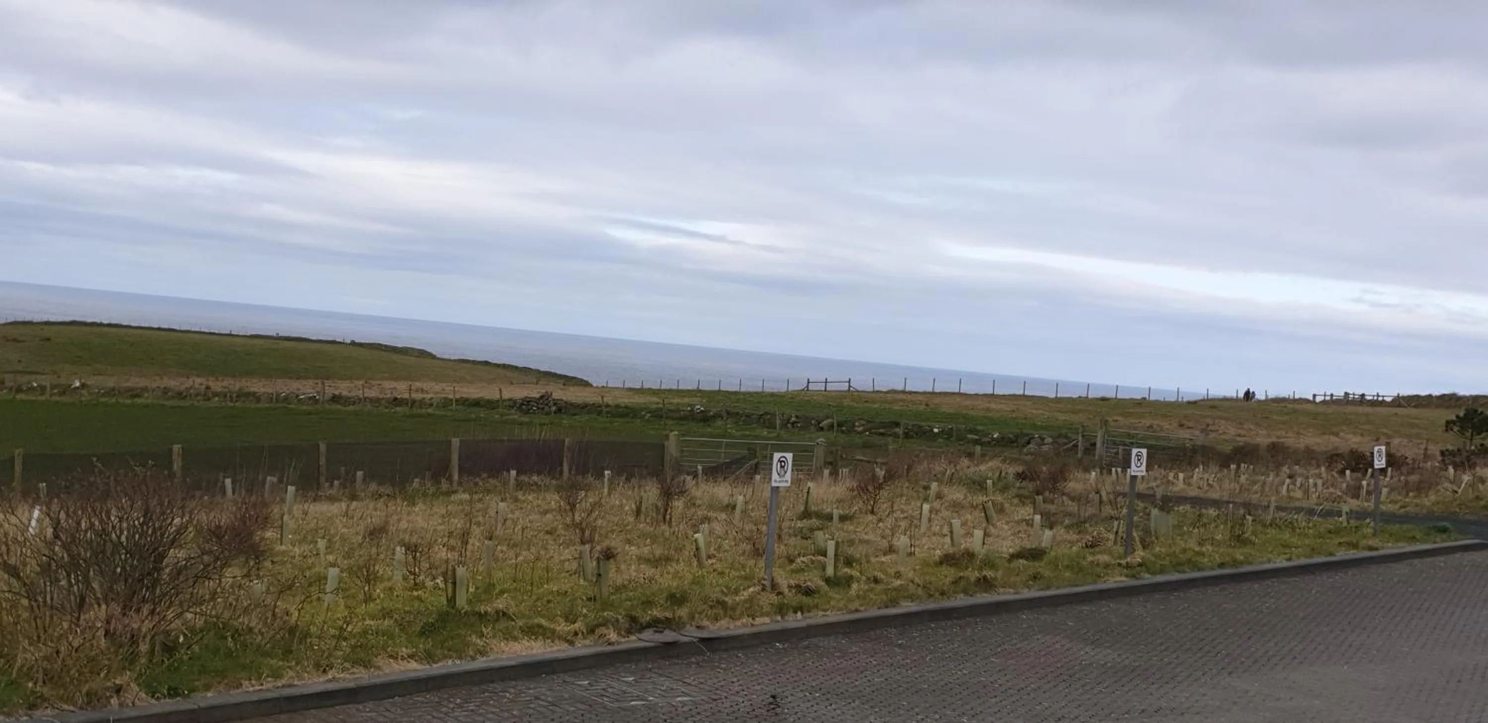 Natural landscape in Causeway Hotel