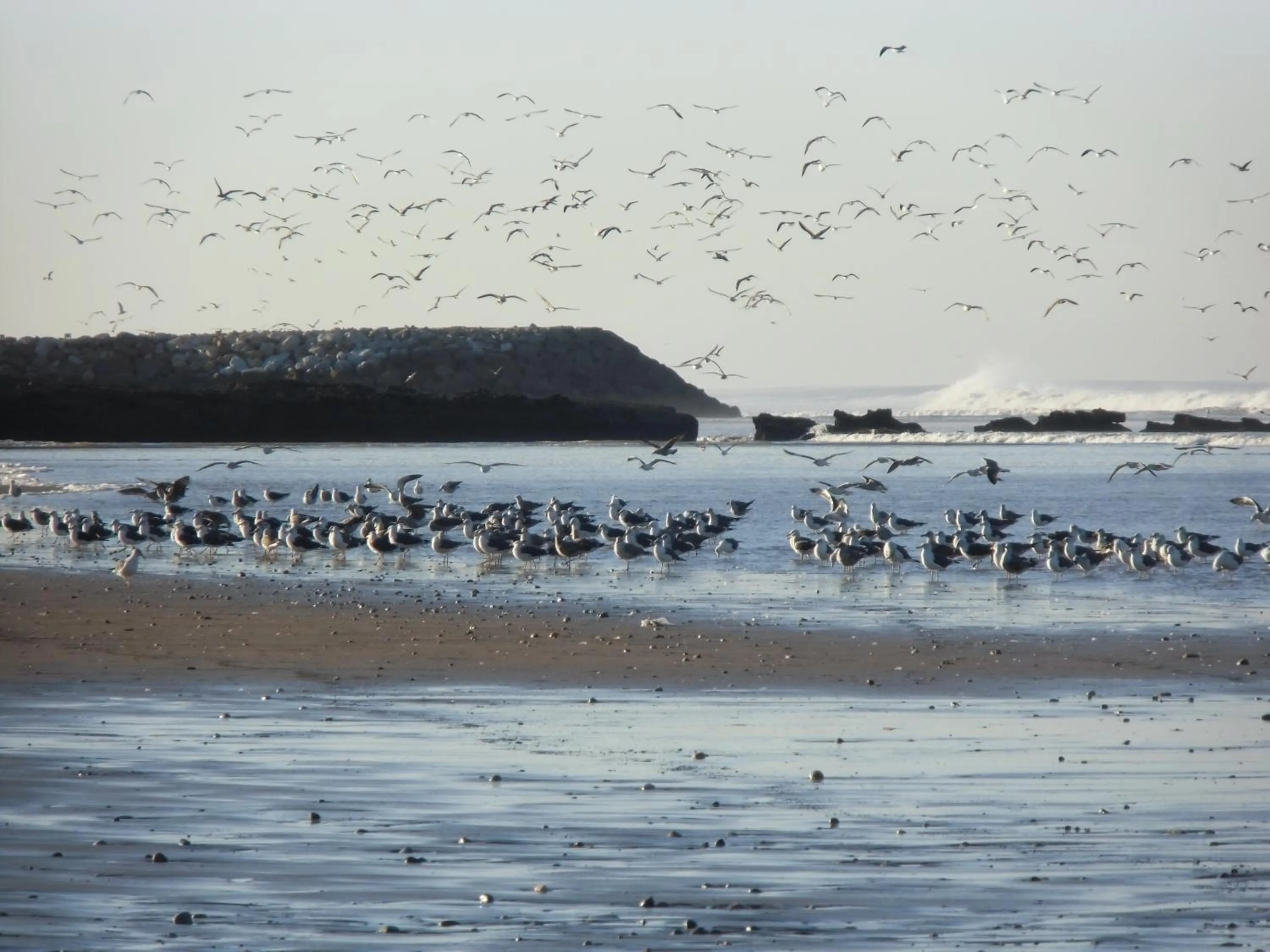 Beach in Villa Sunset B&B