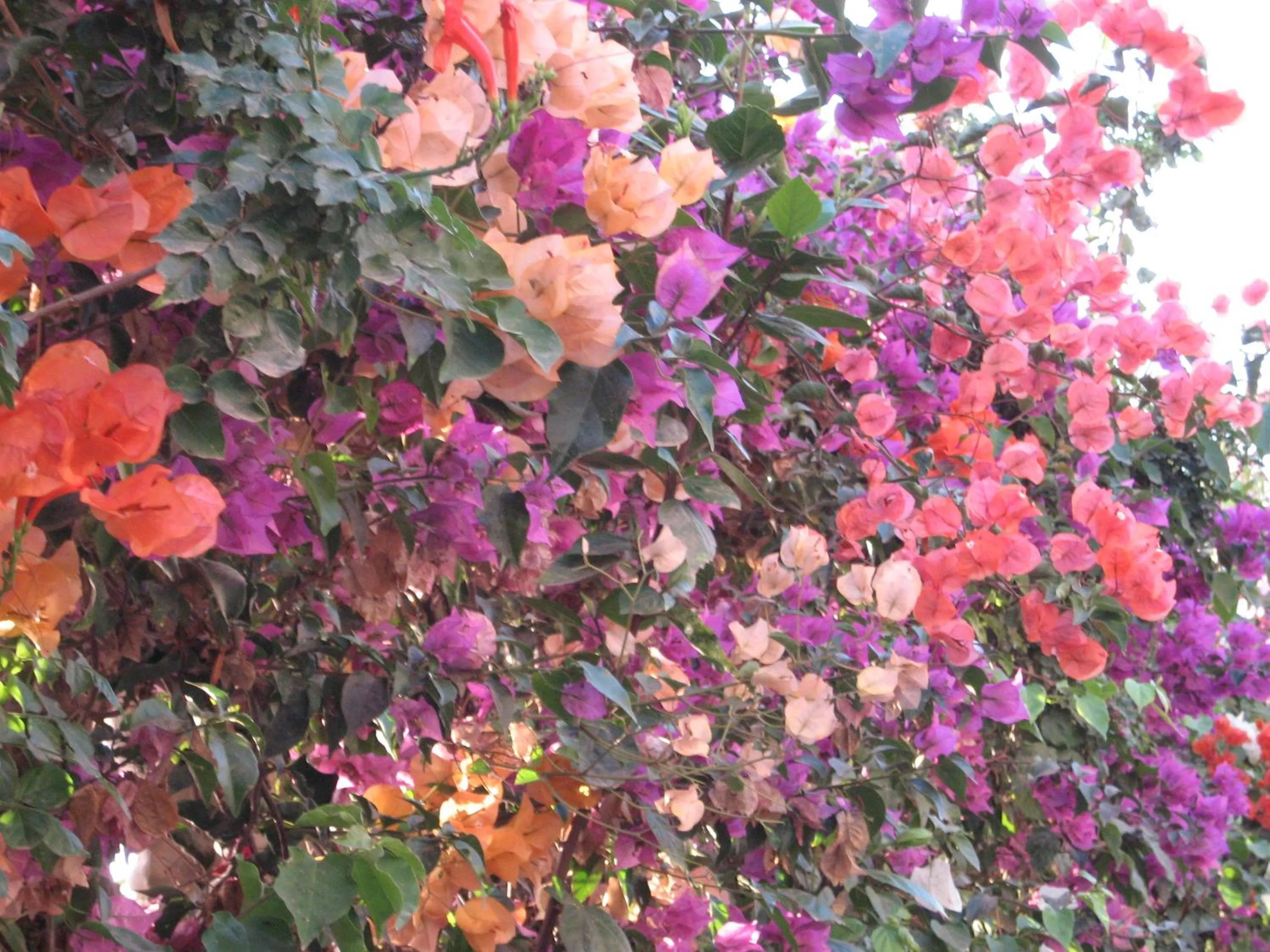 Winter in Villa Sunset B&B