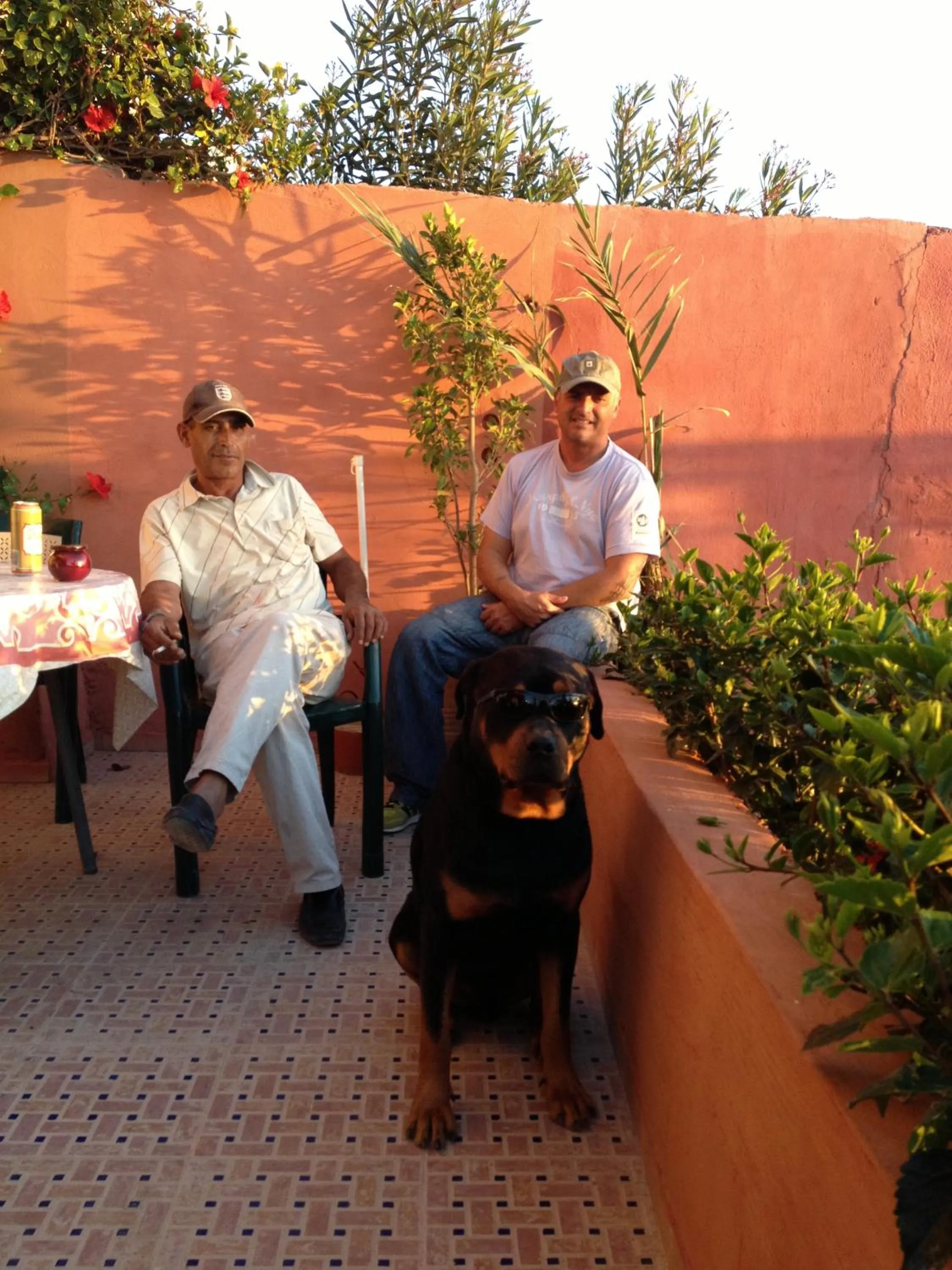 Garden in Villa Sunset B&B