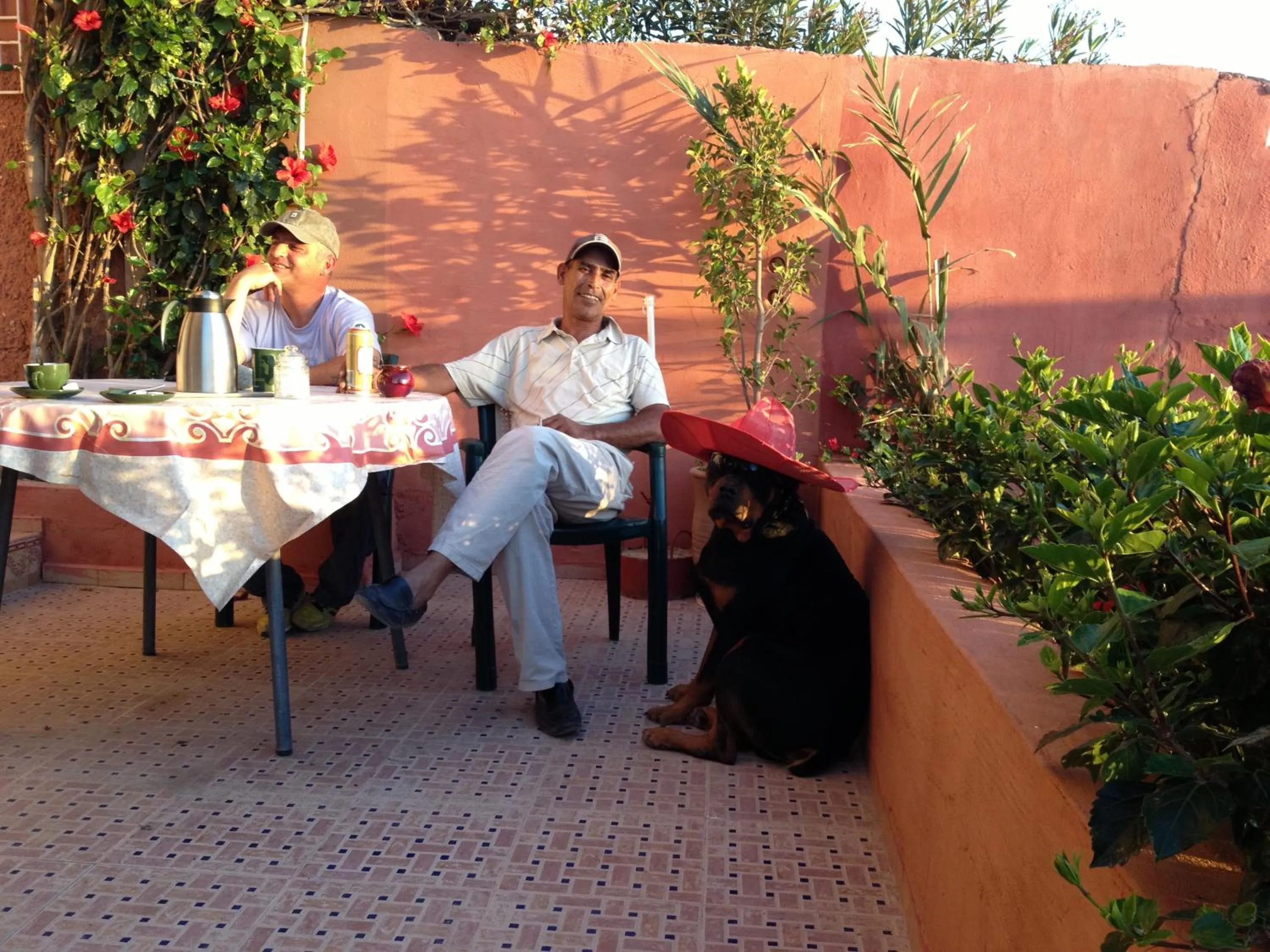 Garden in Villa Sunset B&B