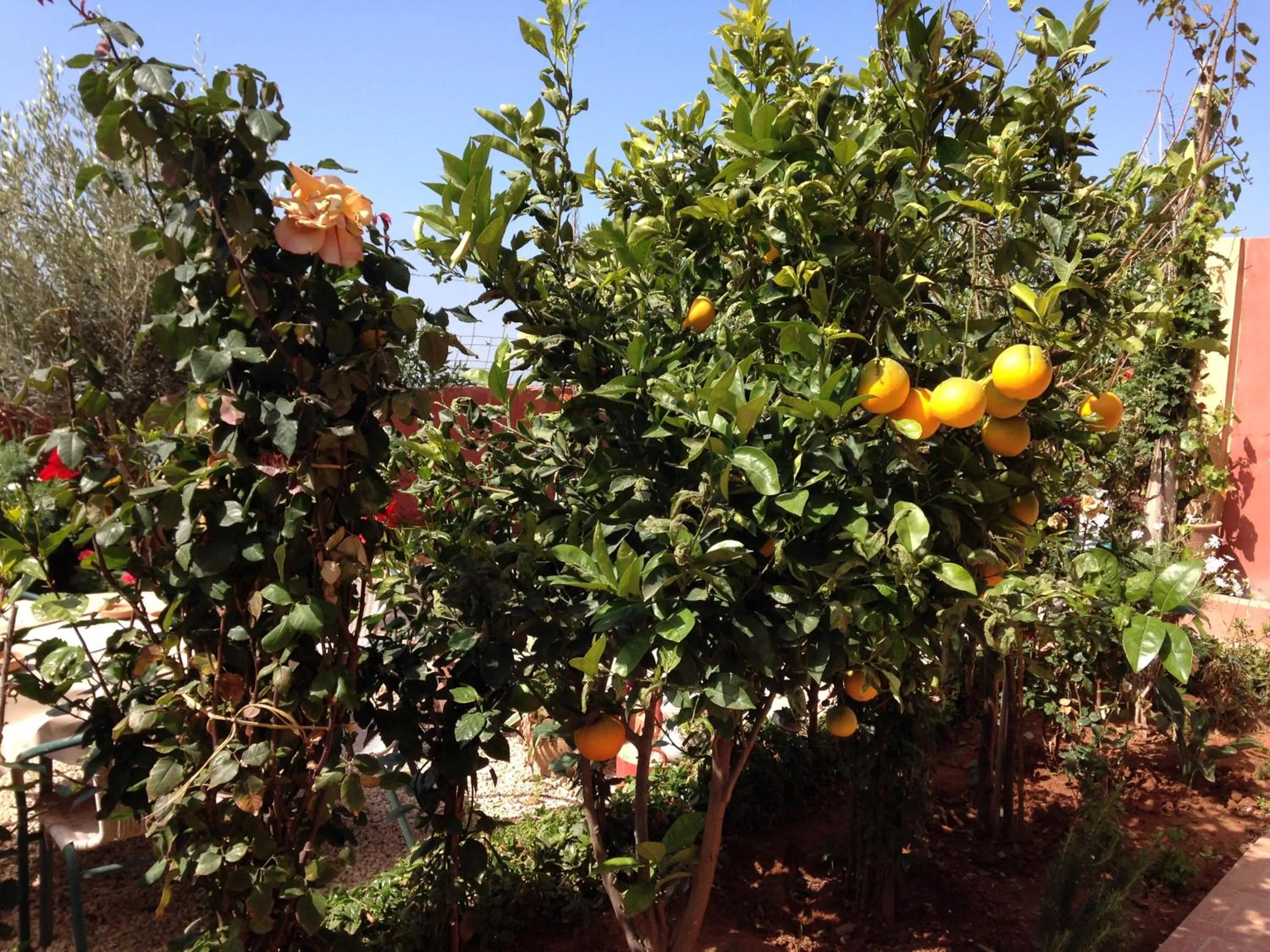 Winter in Villa Sunset B&B