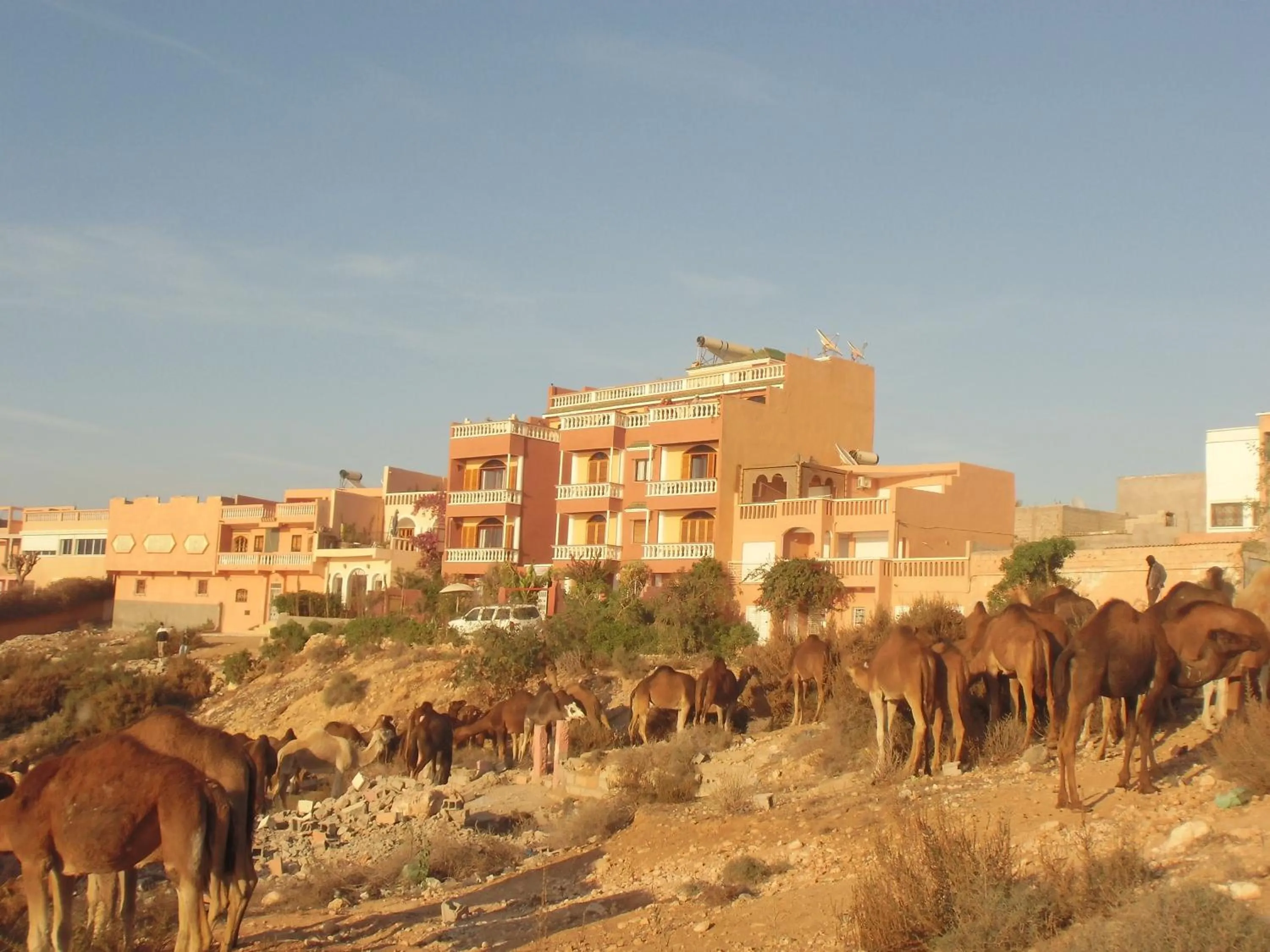 Property building in Villa Sunset B&B