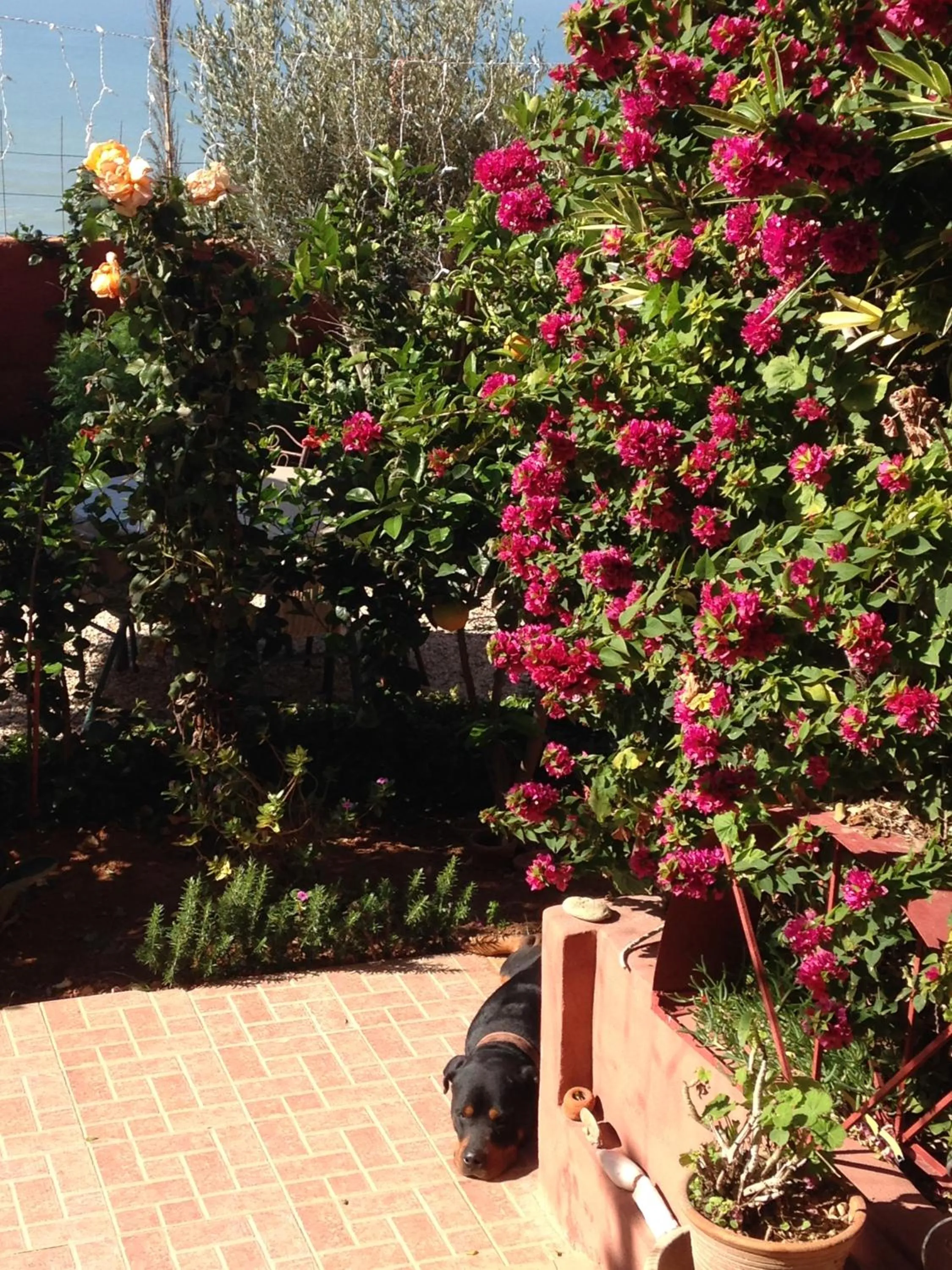 Winter in Villa Sunset B&B