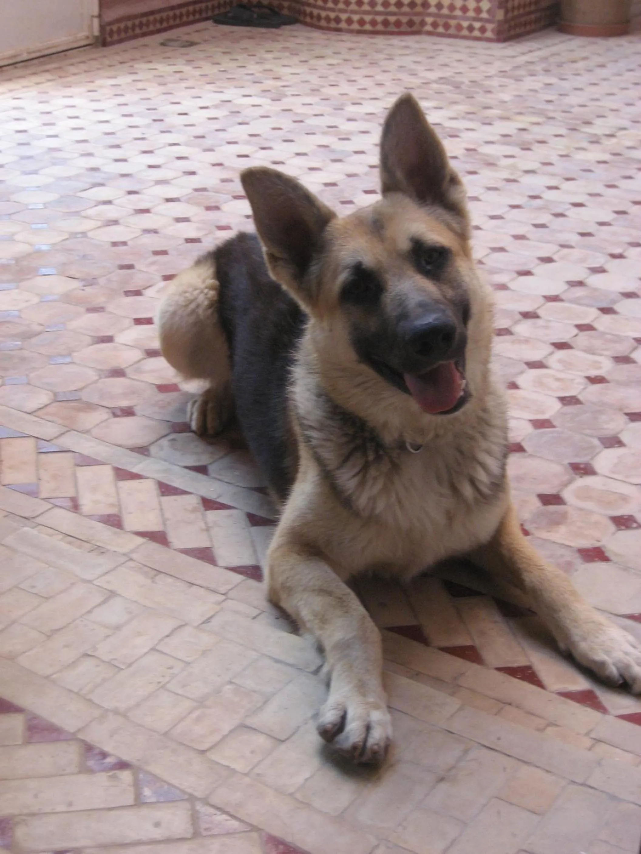 On site in Villa Sunset B&B