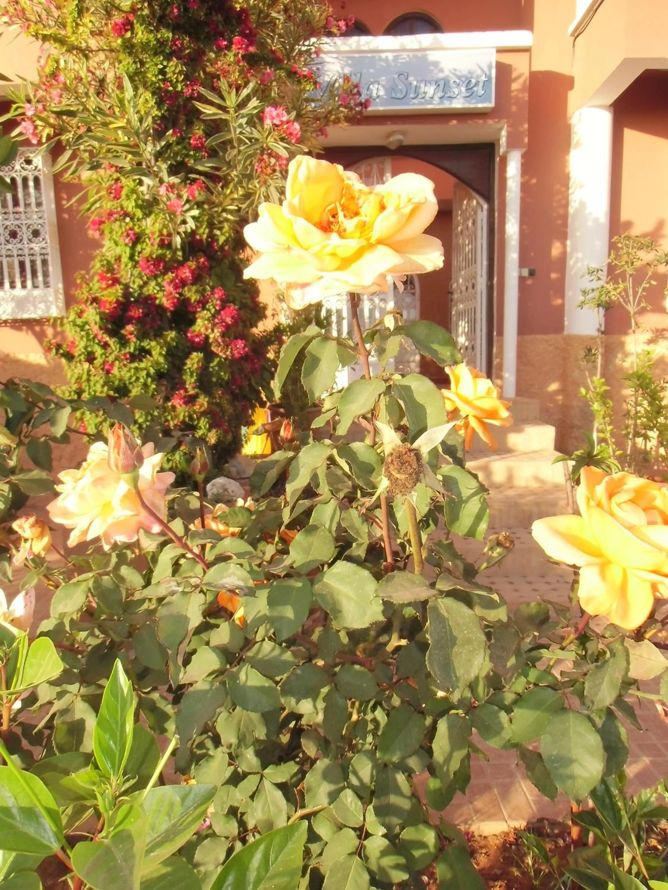 Winter in Villa Sunset B&B