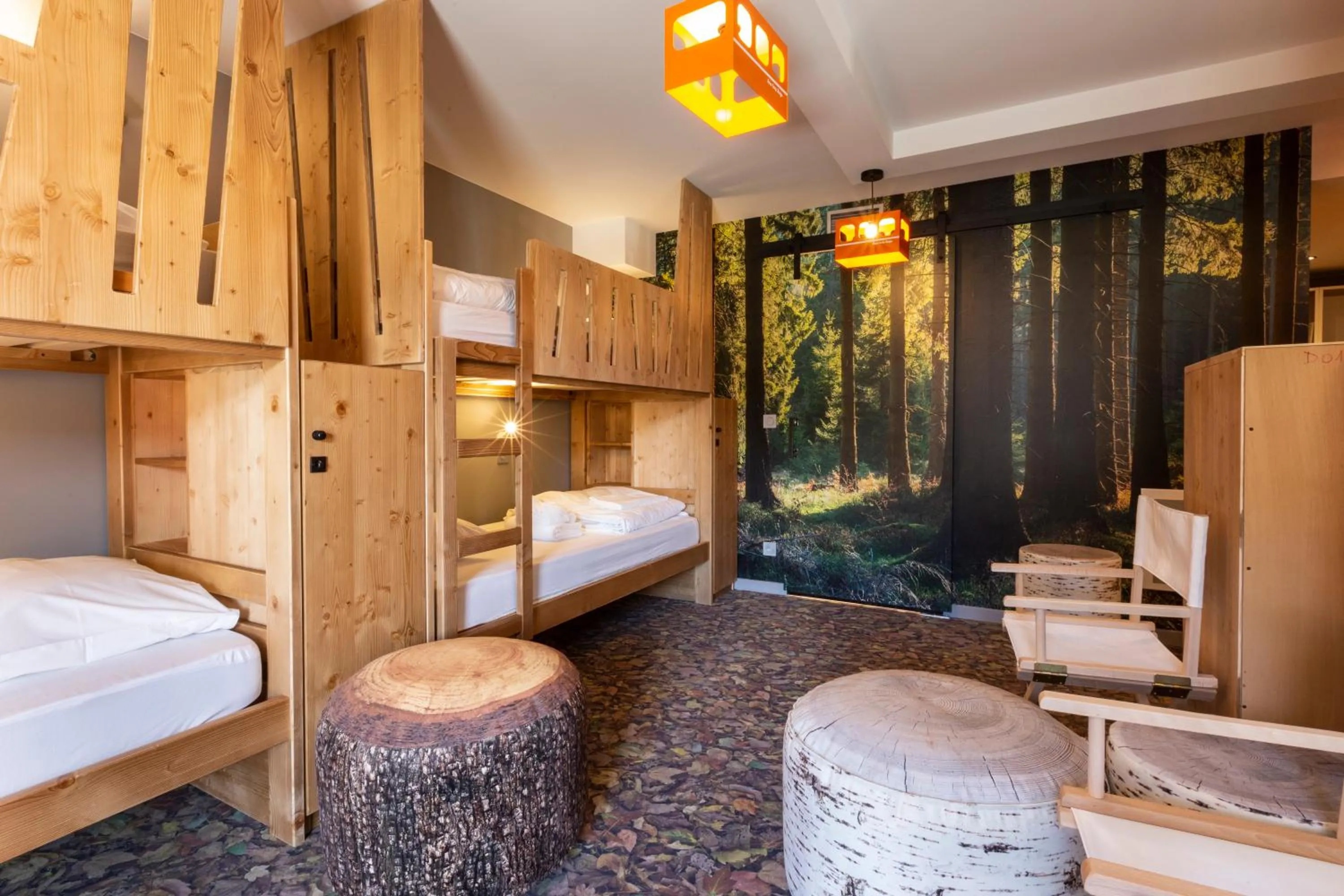 bunk bed, Bed in Hotel Base Camp Lodge - Bourg Saint Maurice