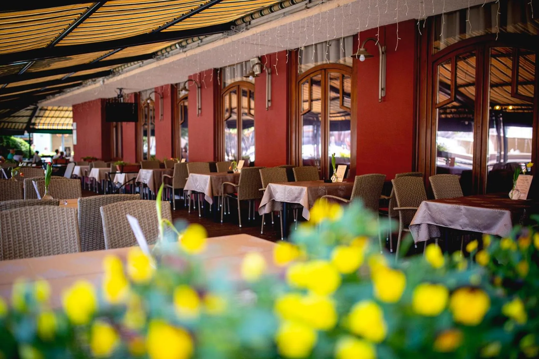 Restaurant/places to eat in Hotel Kapos