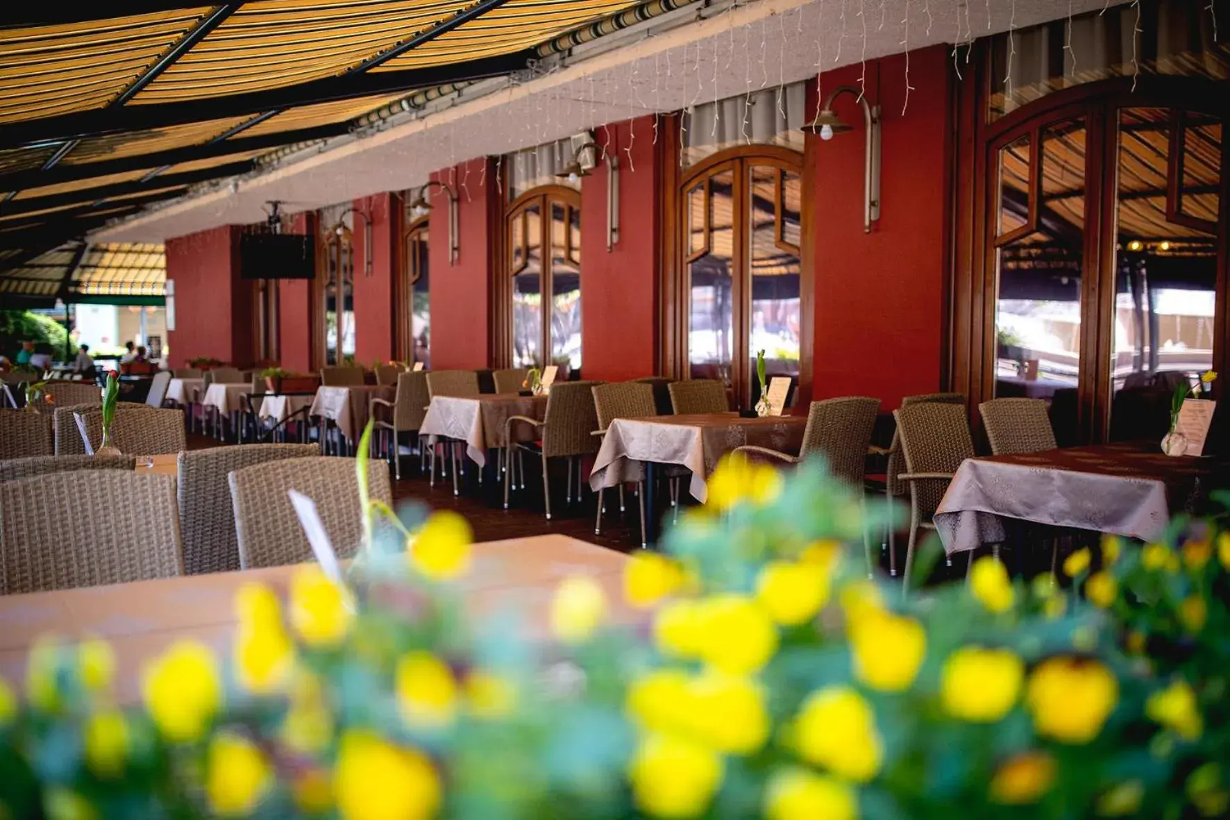 Restaurant/places to eat in Hotel Kapos Restaurant/places to eat in Hotel Kapos