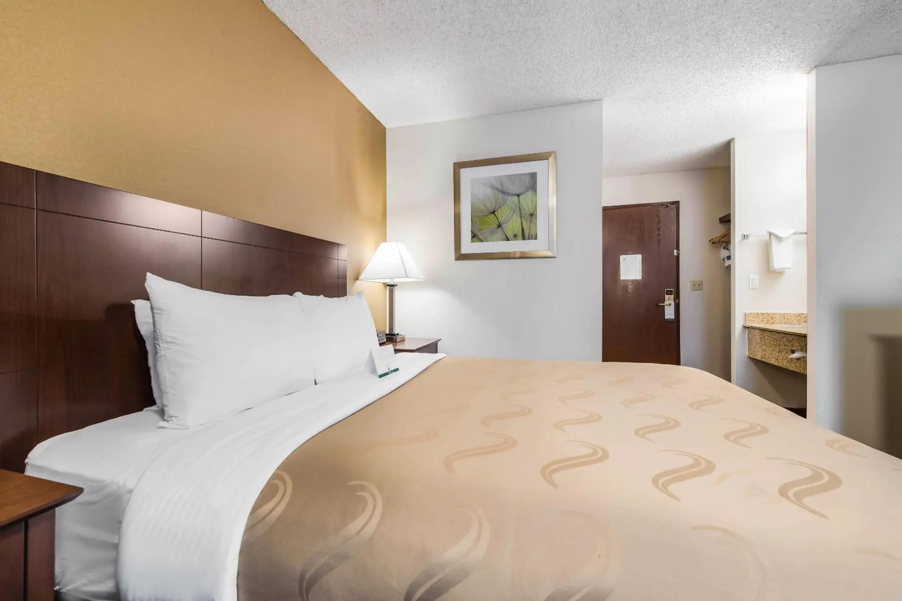 Standard Queen Room - Non-Smoking/Pet Friendly in Quality Inn & Suites Lacey Olympia Standard Queen Room - Non-Smoking/Pet Friendly in Quality Inn & Suites Lacey Olympia