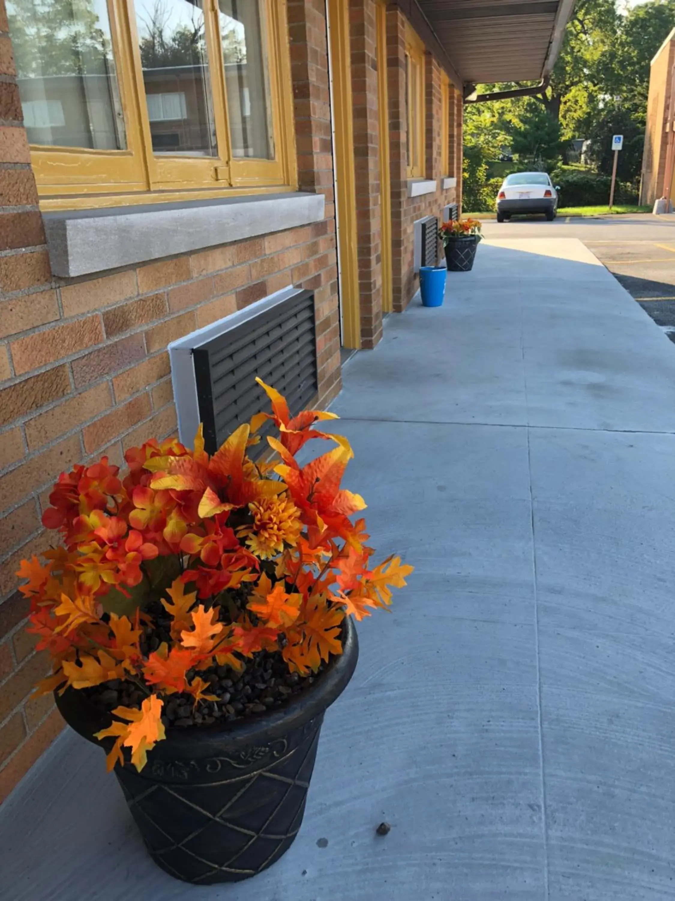 Property building in Wolf Inn Hotel Property building in Wolf Inn Hotel