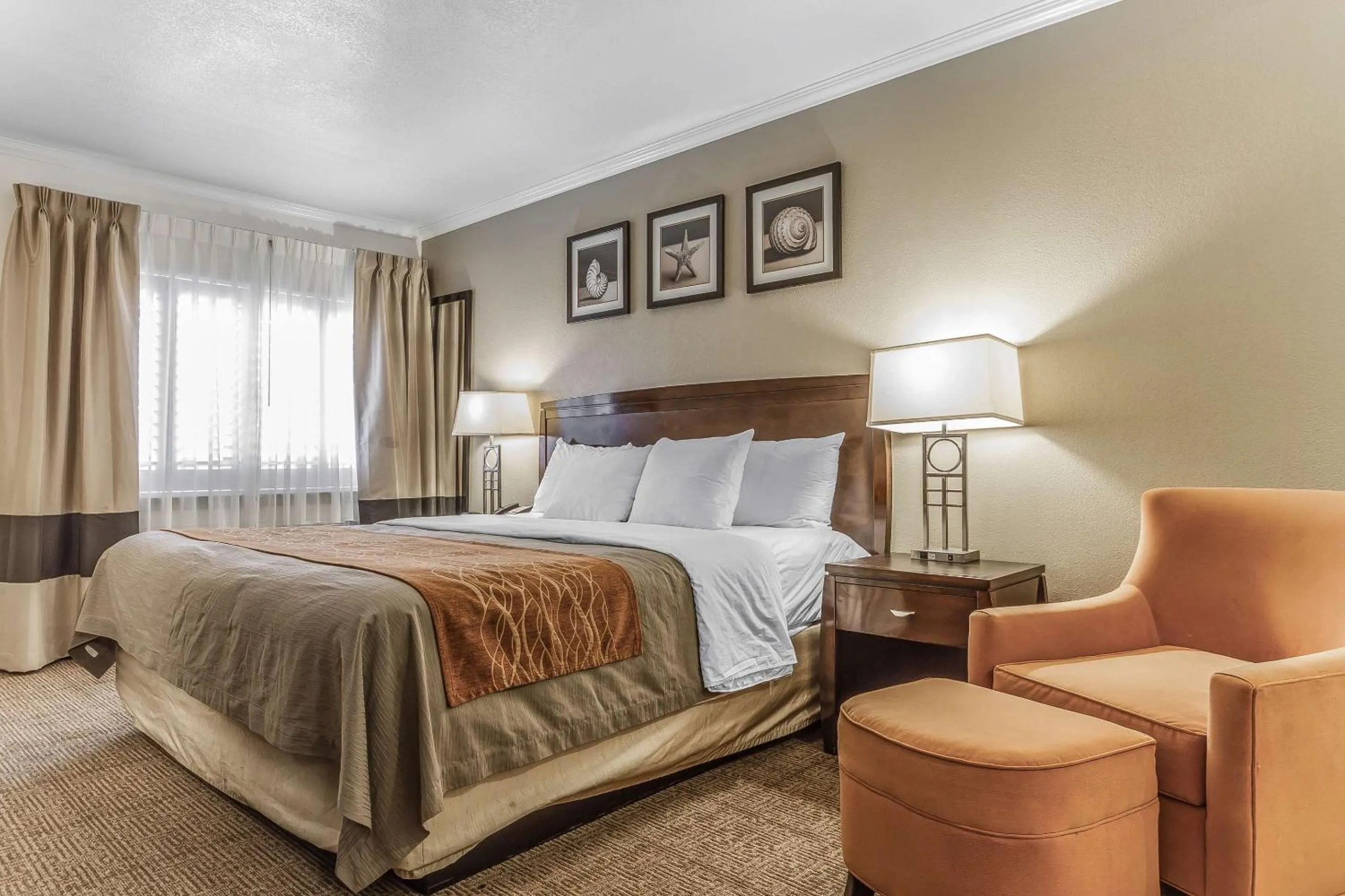 Bedroom, Bed in Comfort Inn