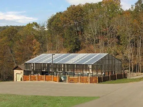 Property building in African Safari