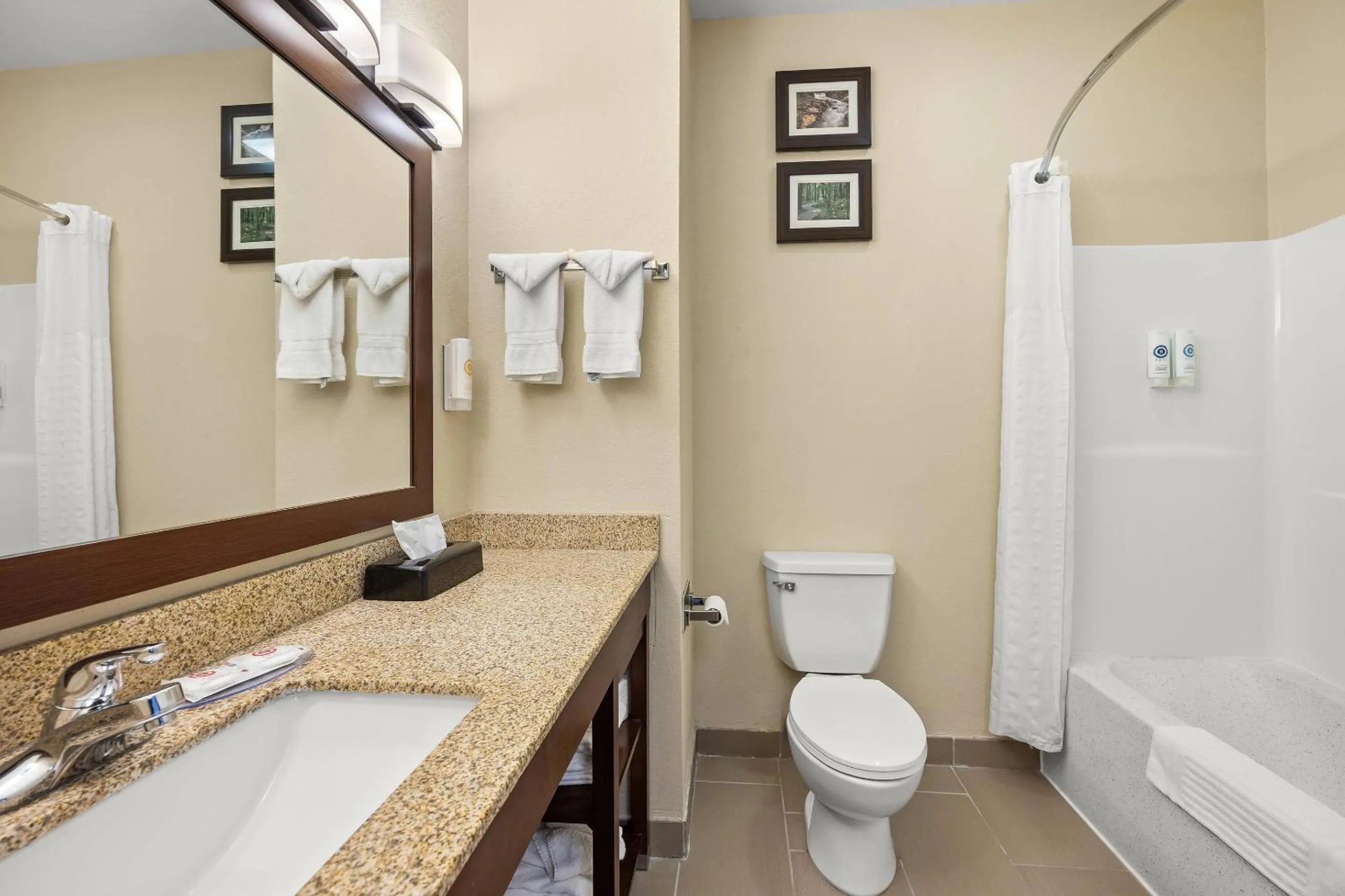 Bedroom in Comfort Inn Willow Springs US 60 and US 63