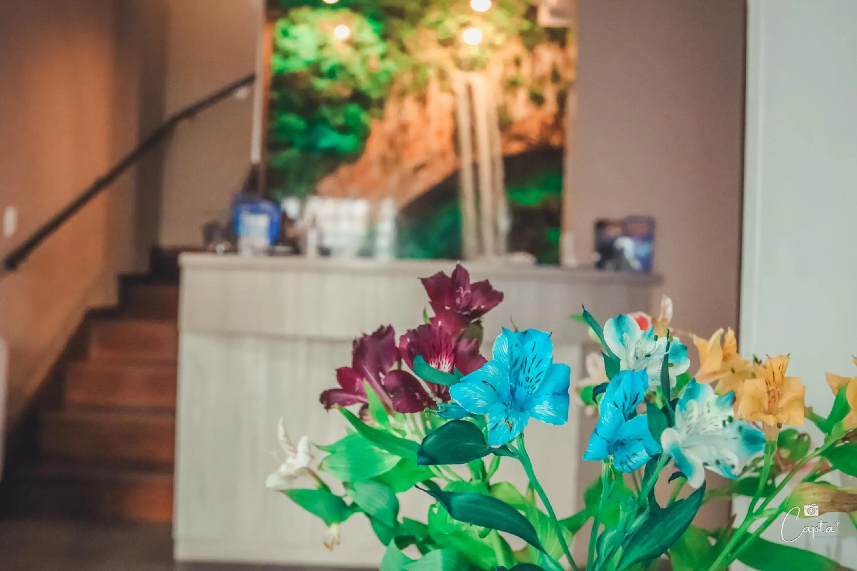 Lobby or reception in Pousada Villa Vecchia