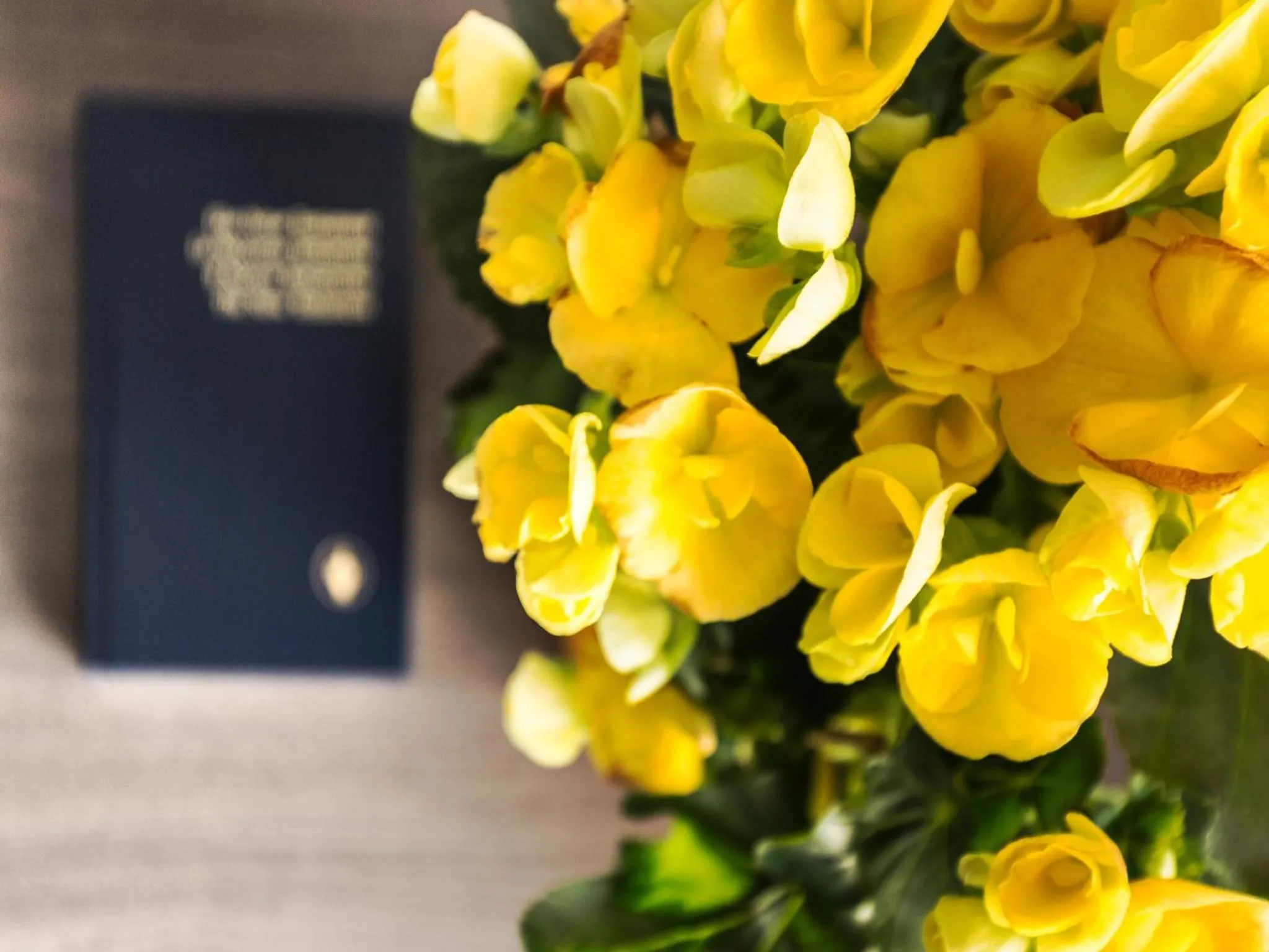 Decorative detail in Hôtel Irlande