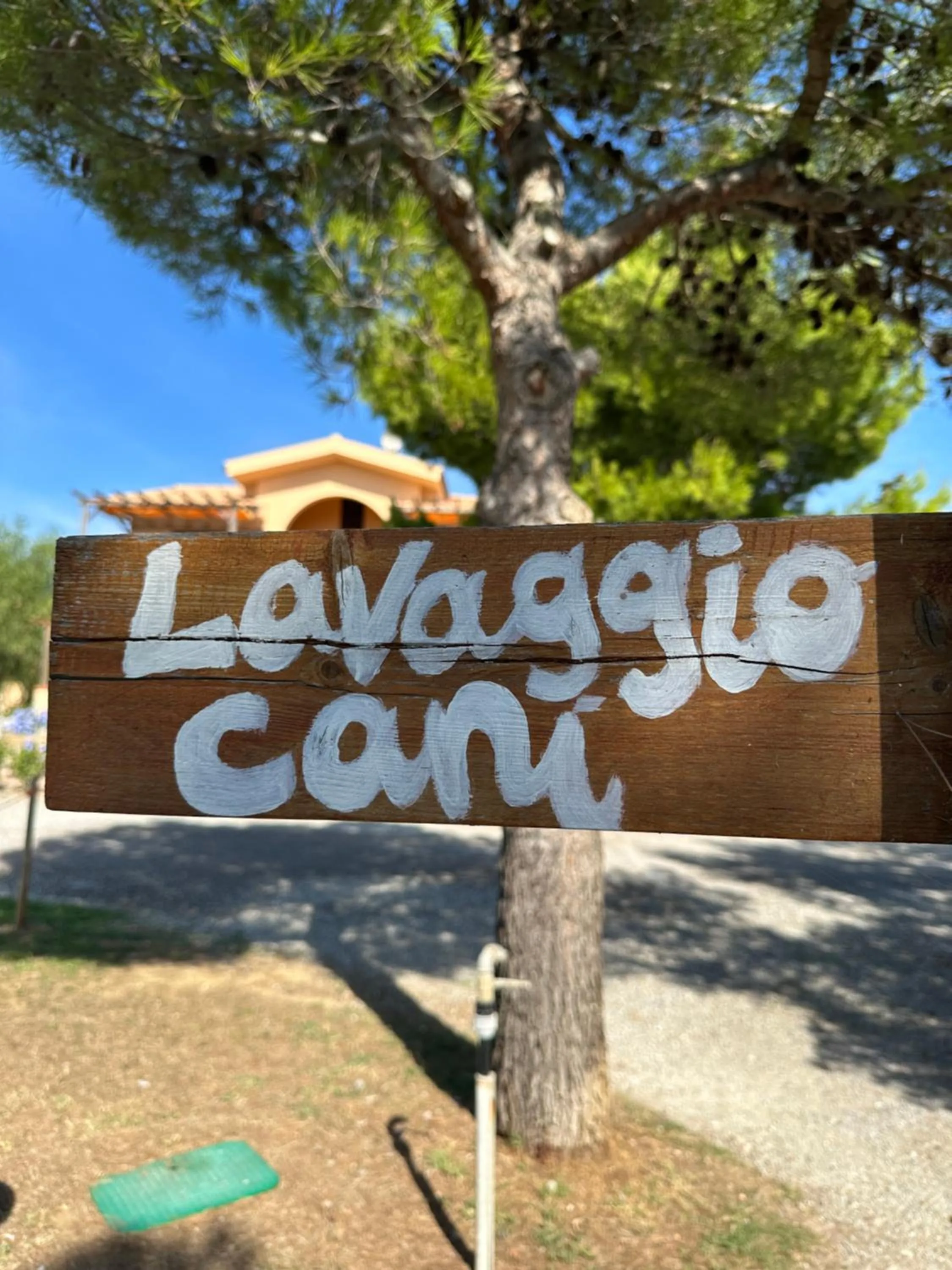 Animals in Residence Talamone Il Poderino