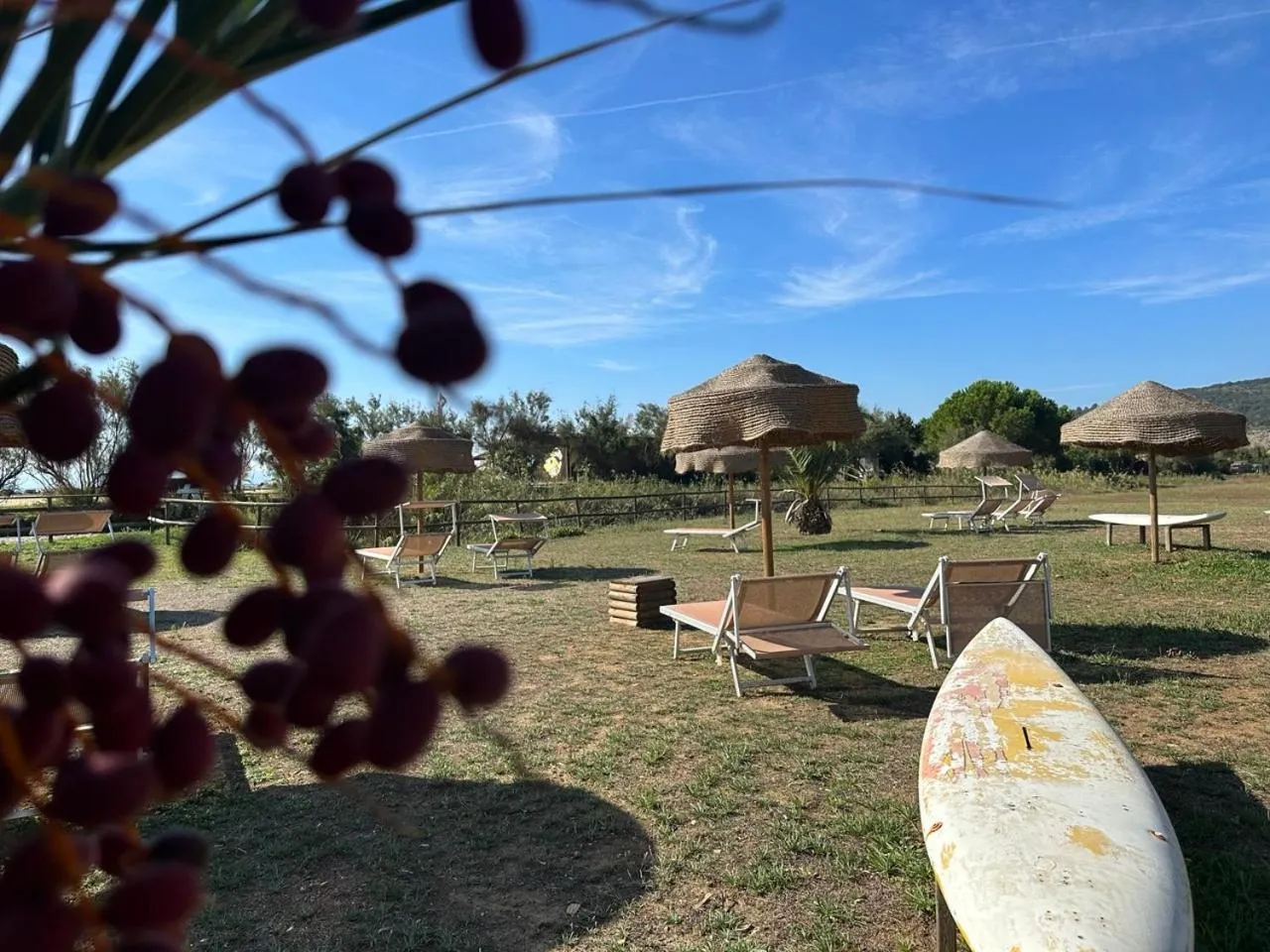 Day in Residence Talamone Il Poderino