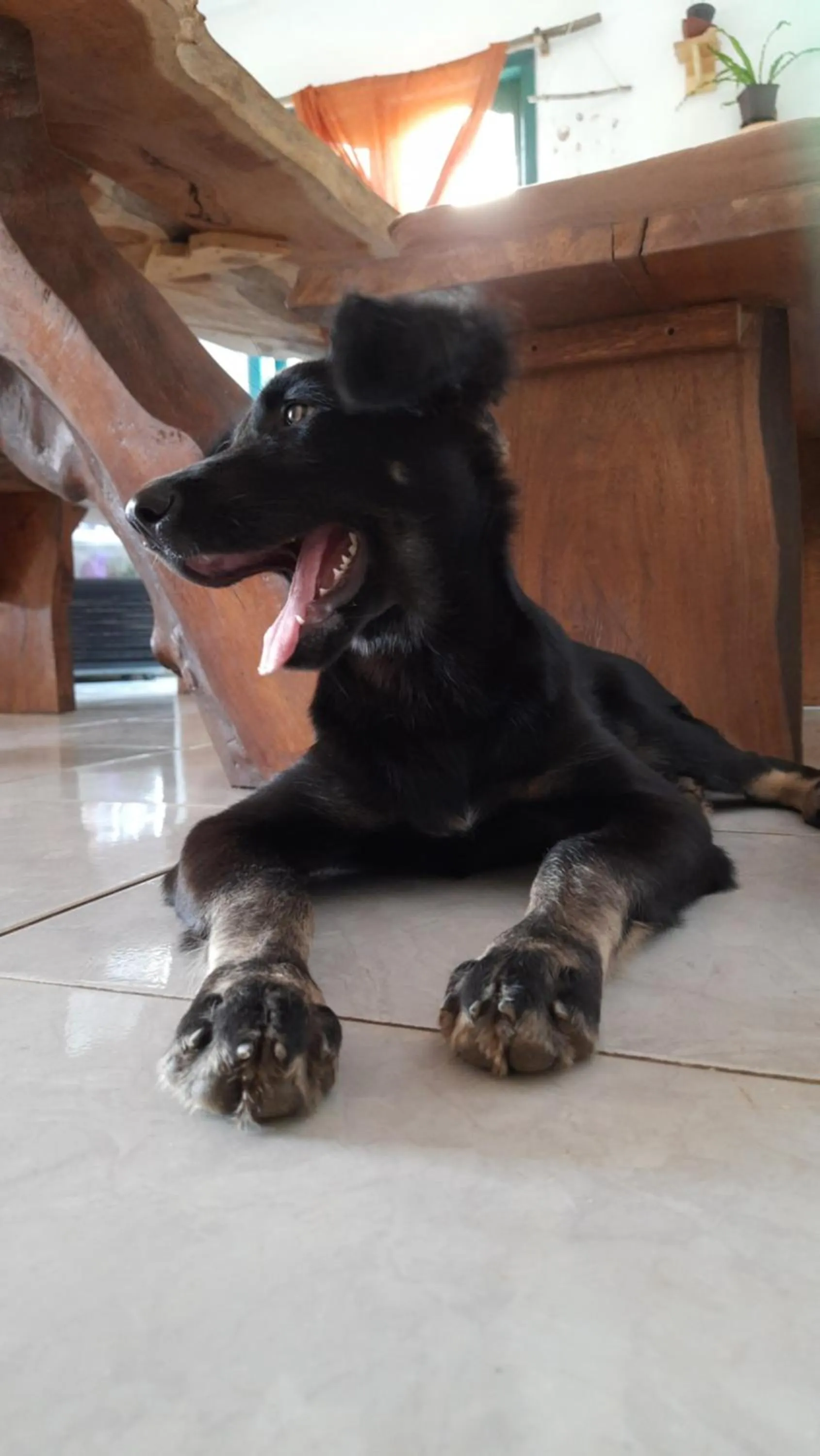 Property building in L'isola che...