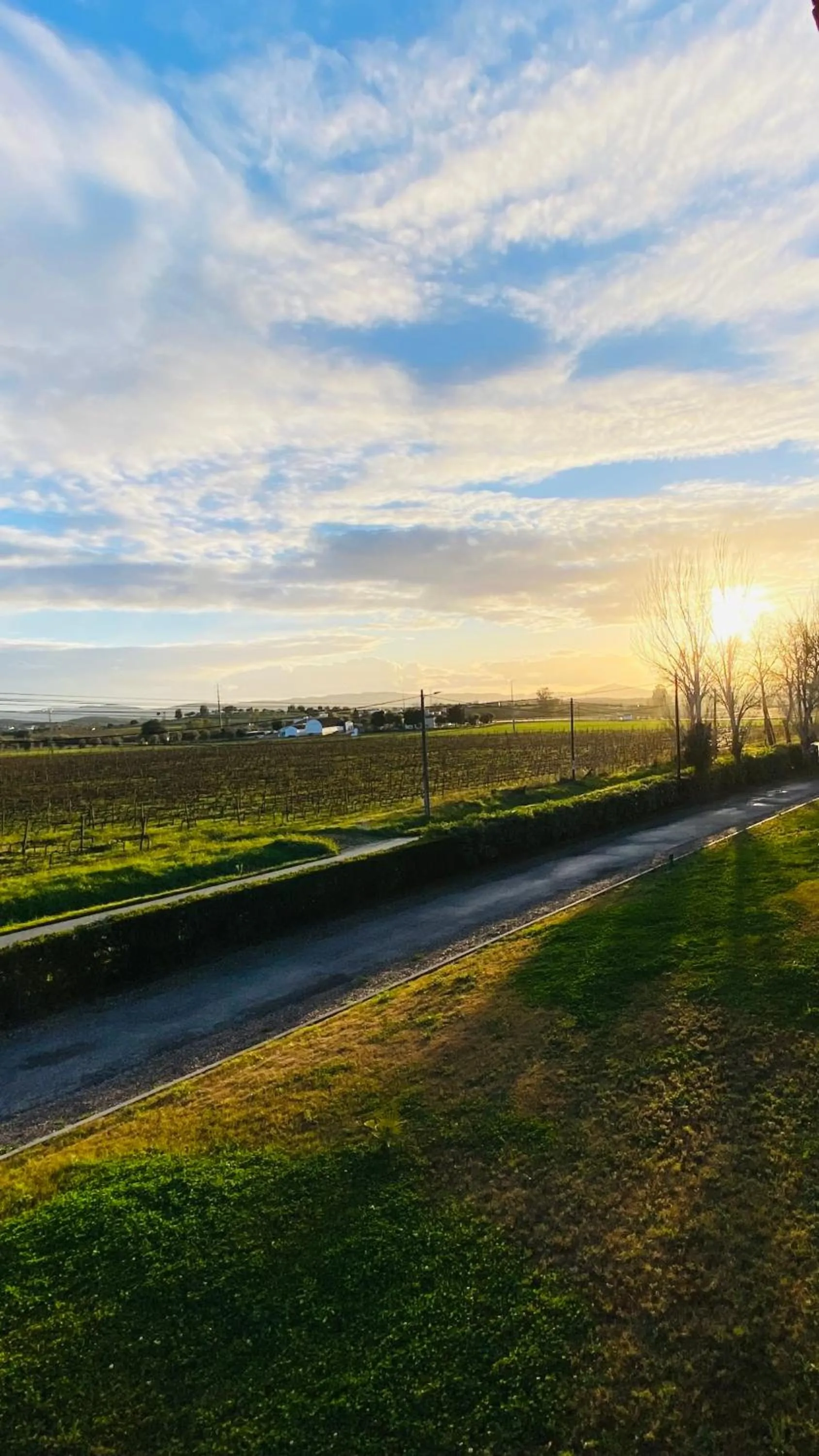 View (from property/room) in Estremoz Hotel