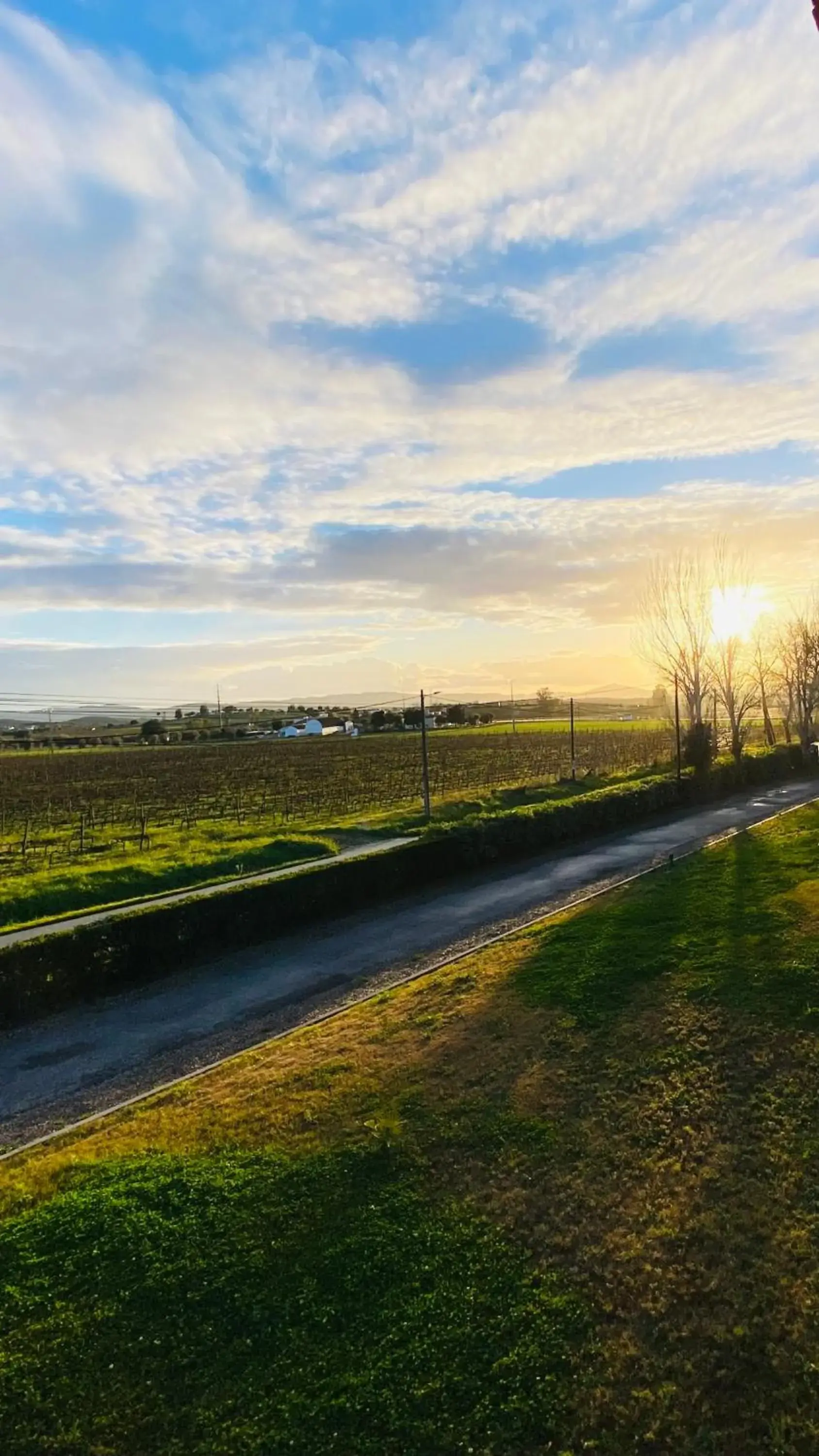 View (from property/room) in Estremoz Hotel View (from property/room) in Estremoz Hotel