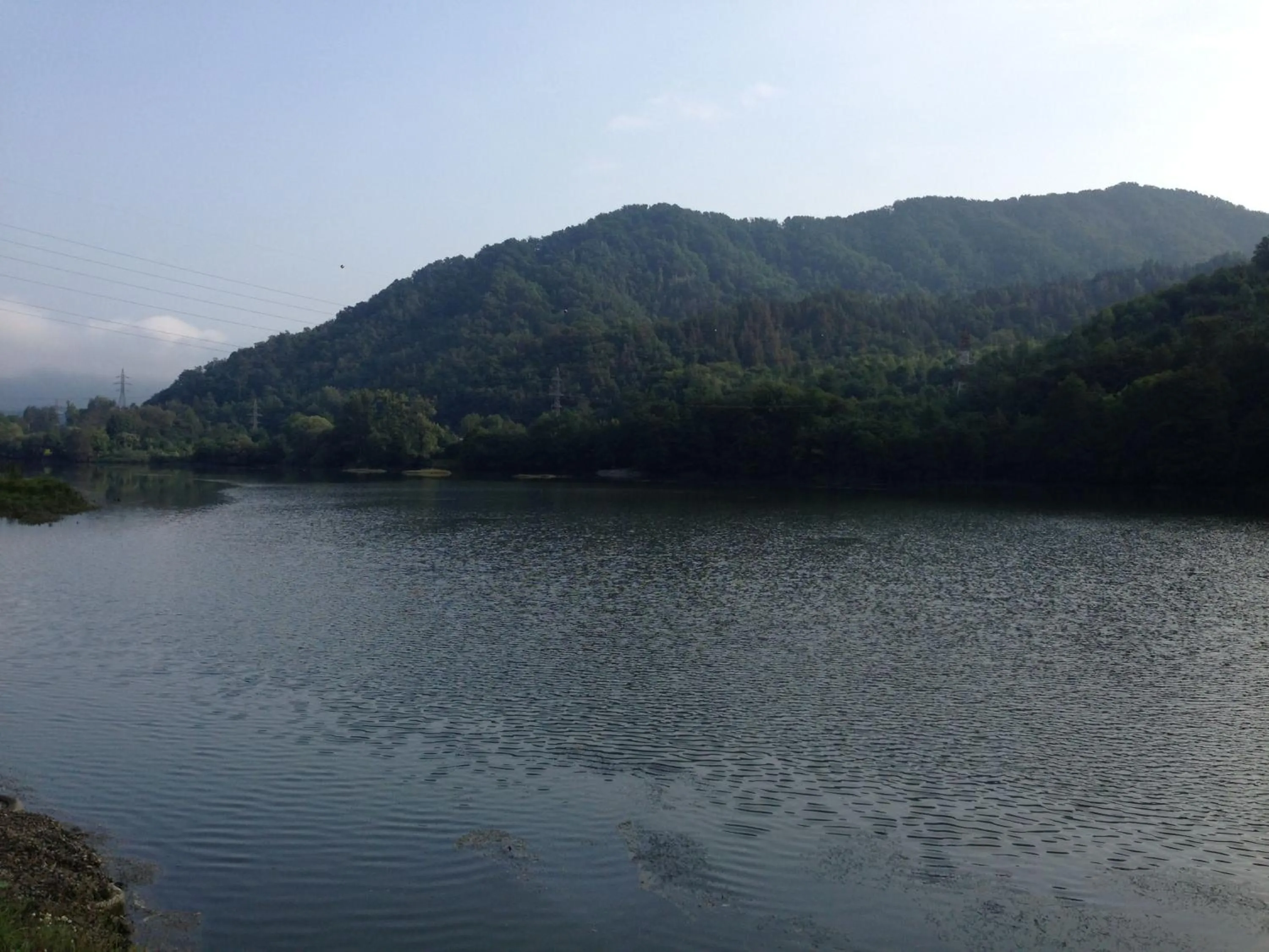 Summer in Hotel Class