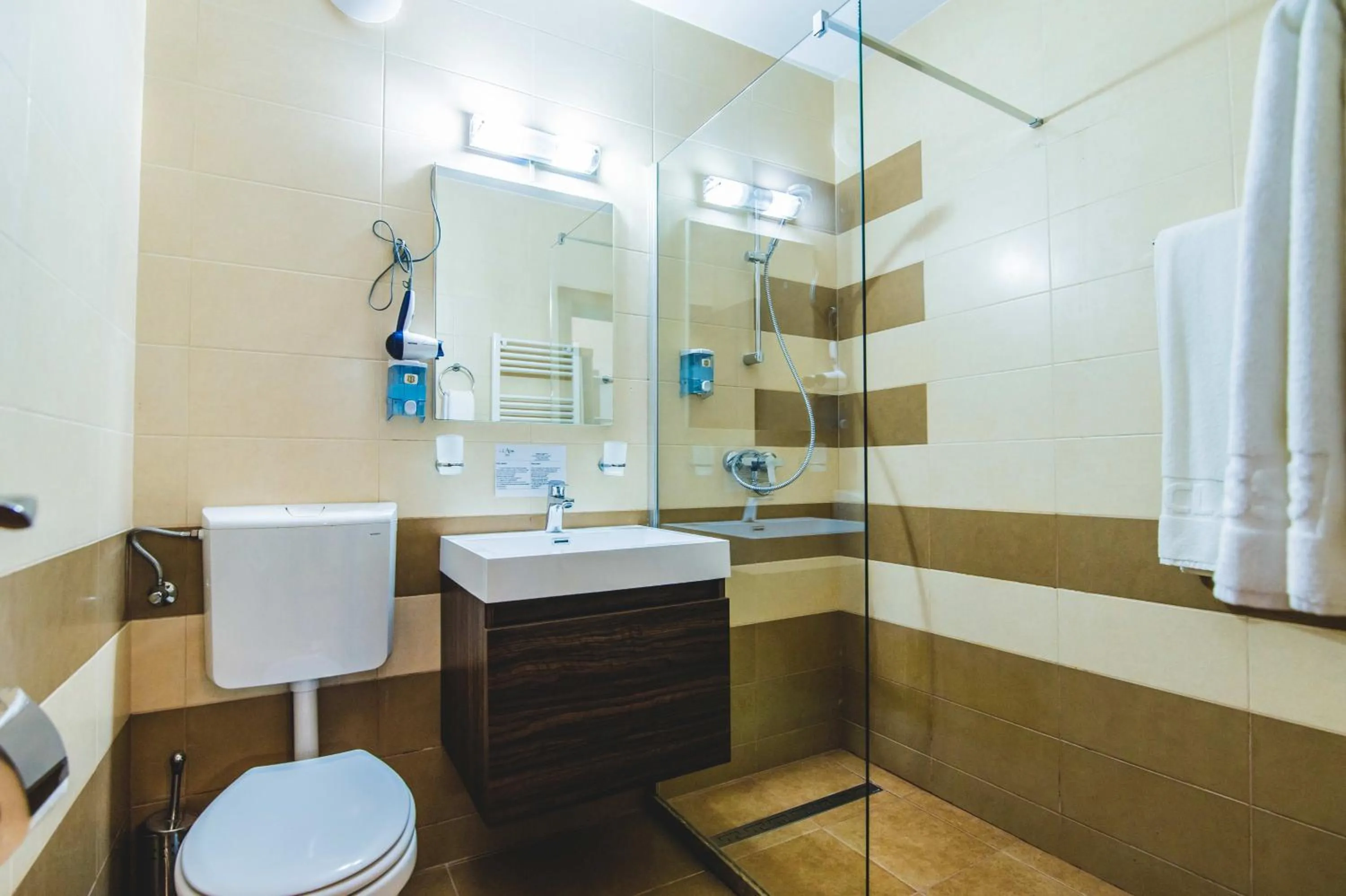 Toilet in Hotel Class