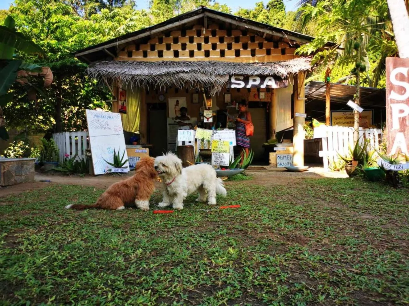 Other in Zimmer Rest