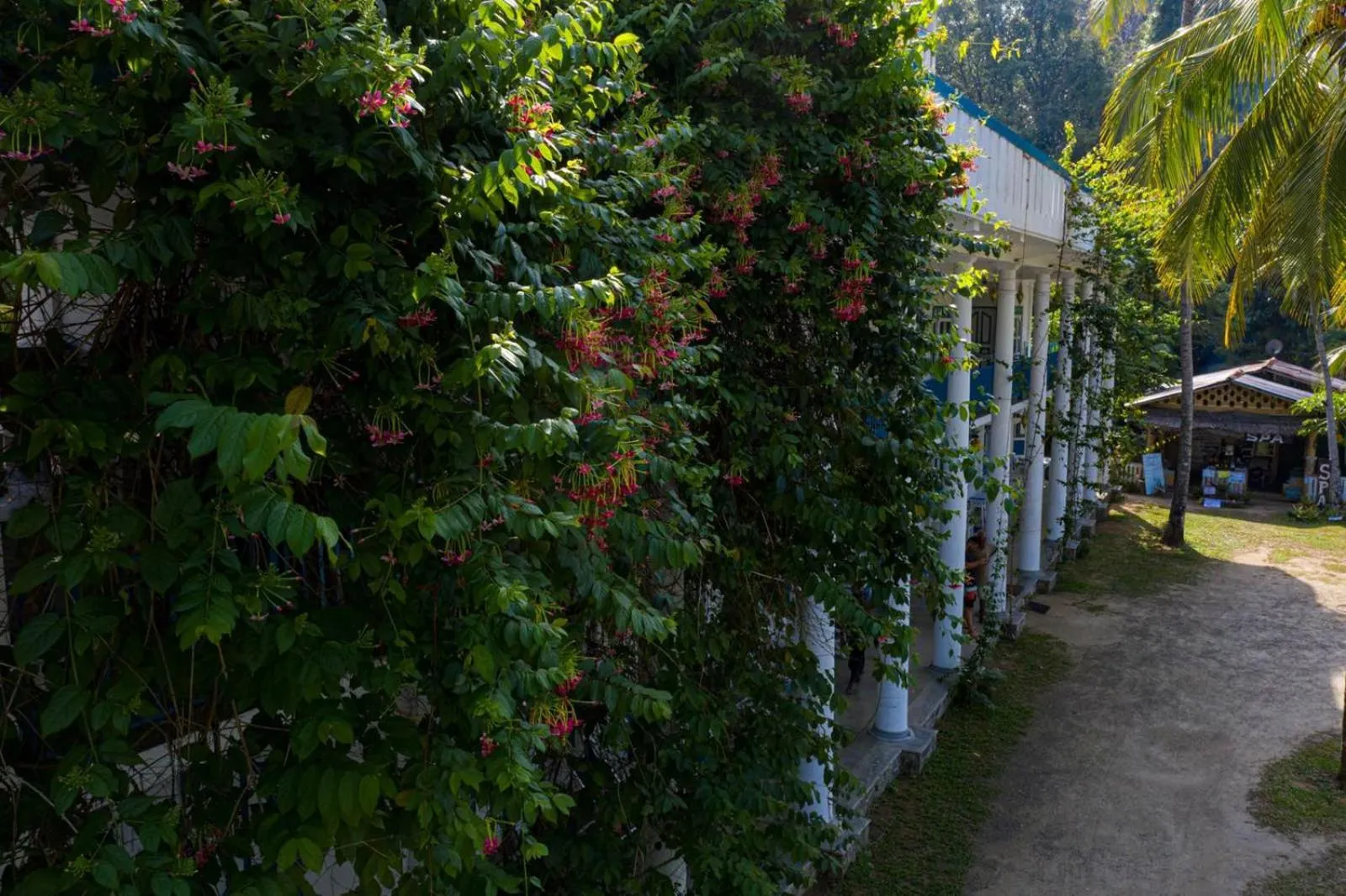 Garden view in Zimmer Rest