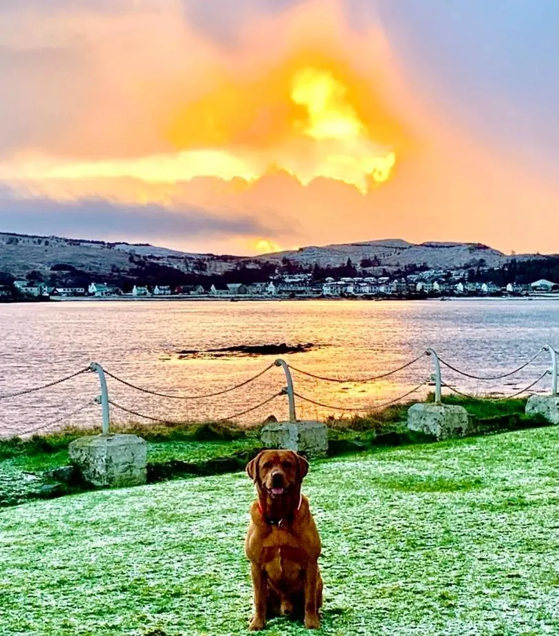 Pets in Skye View Hotel