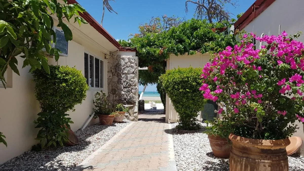 Area and facilities in Aruba Beach Villas