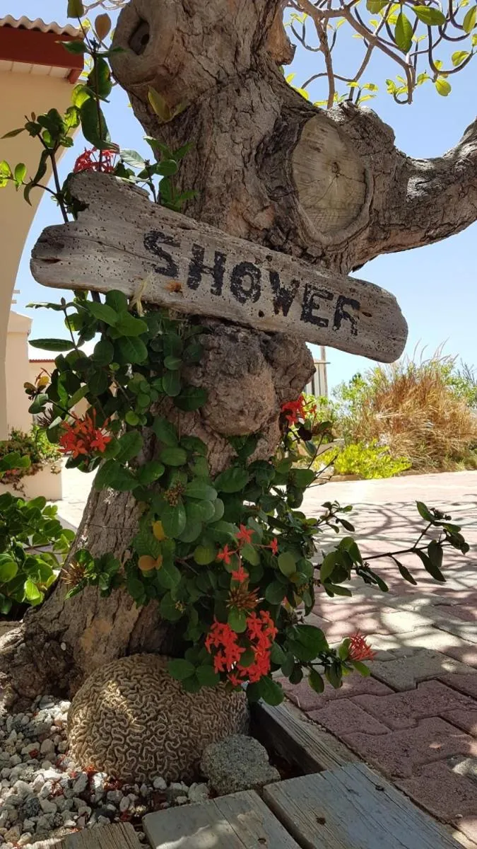 Decorative detail in Aruba Beach Villas