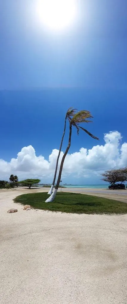 Area and facilities in Aruba Beach Villas