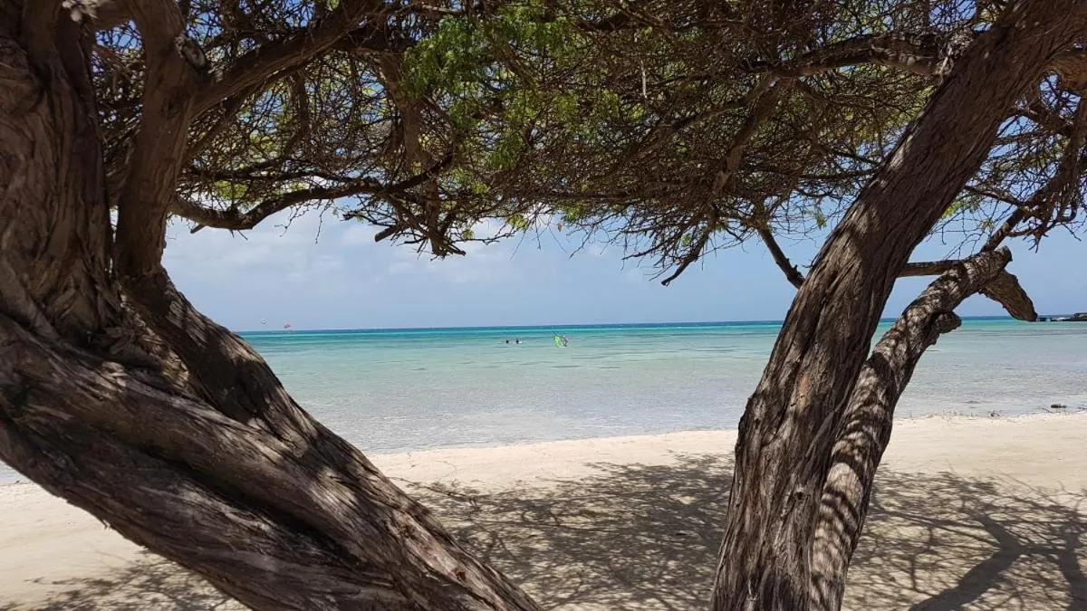 Beach in Aruba Beach Villas