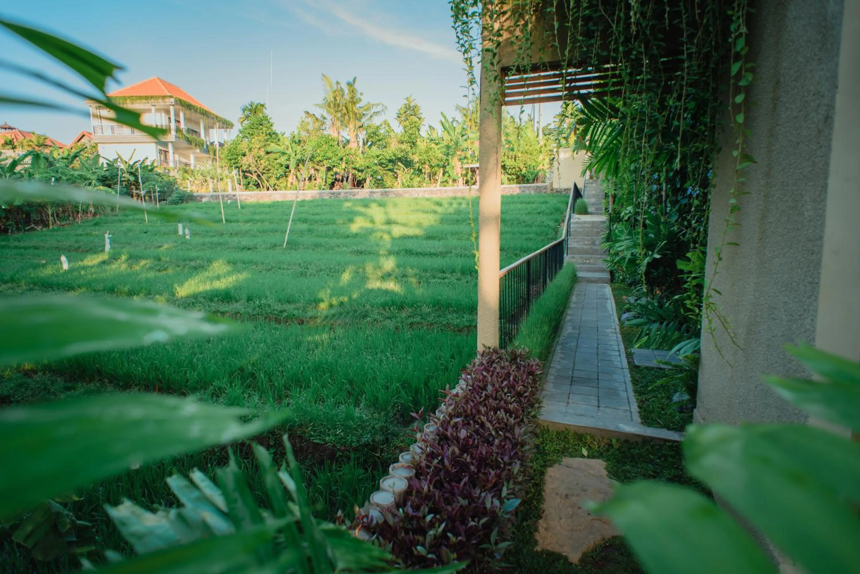 Day in Pangkung Sari Bed and Breakfast