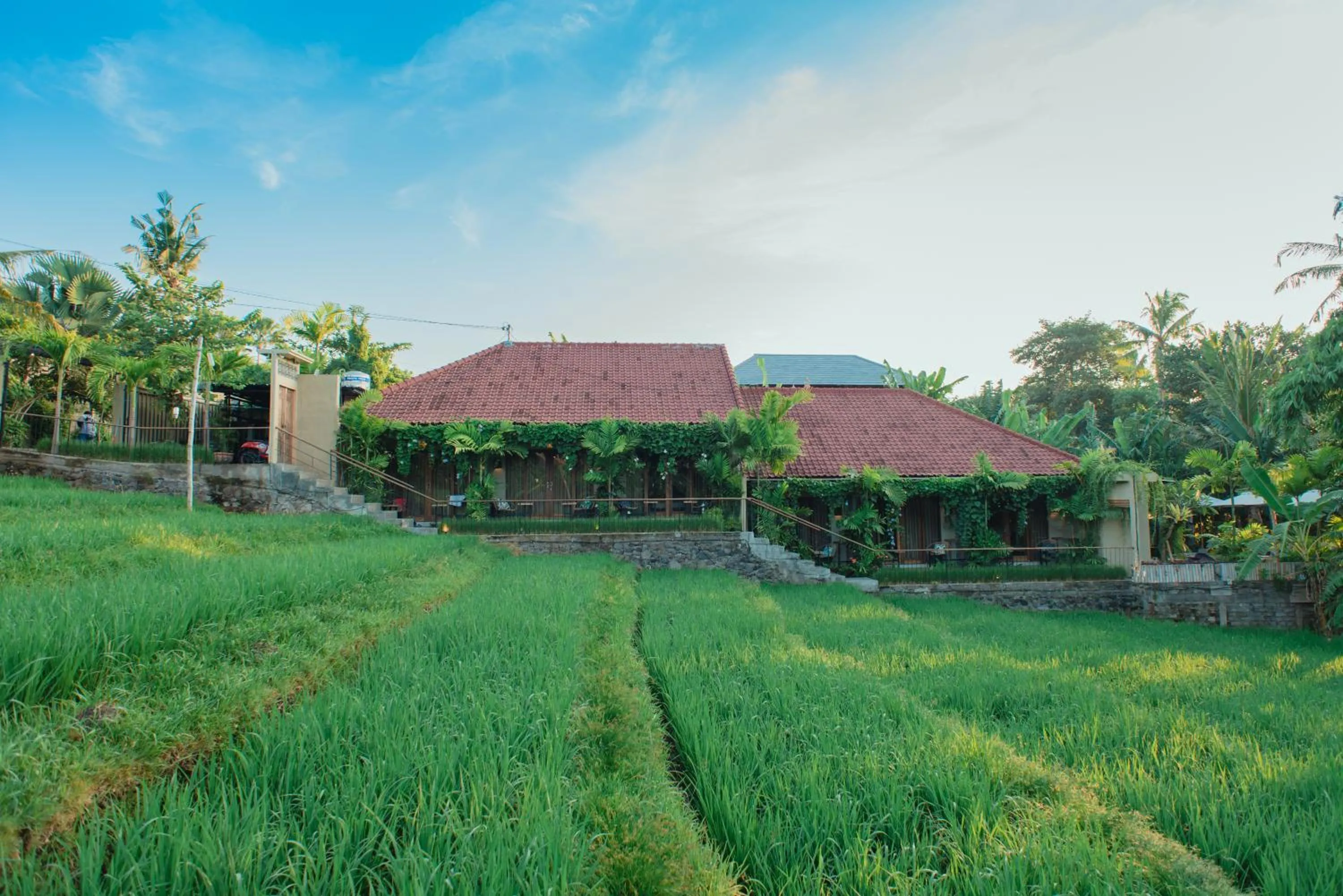Property building in Pangkung Sari Bed and Breakfast