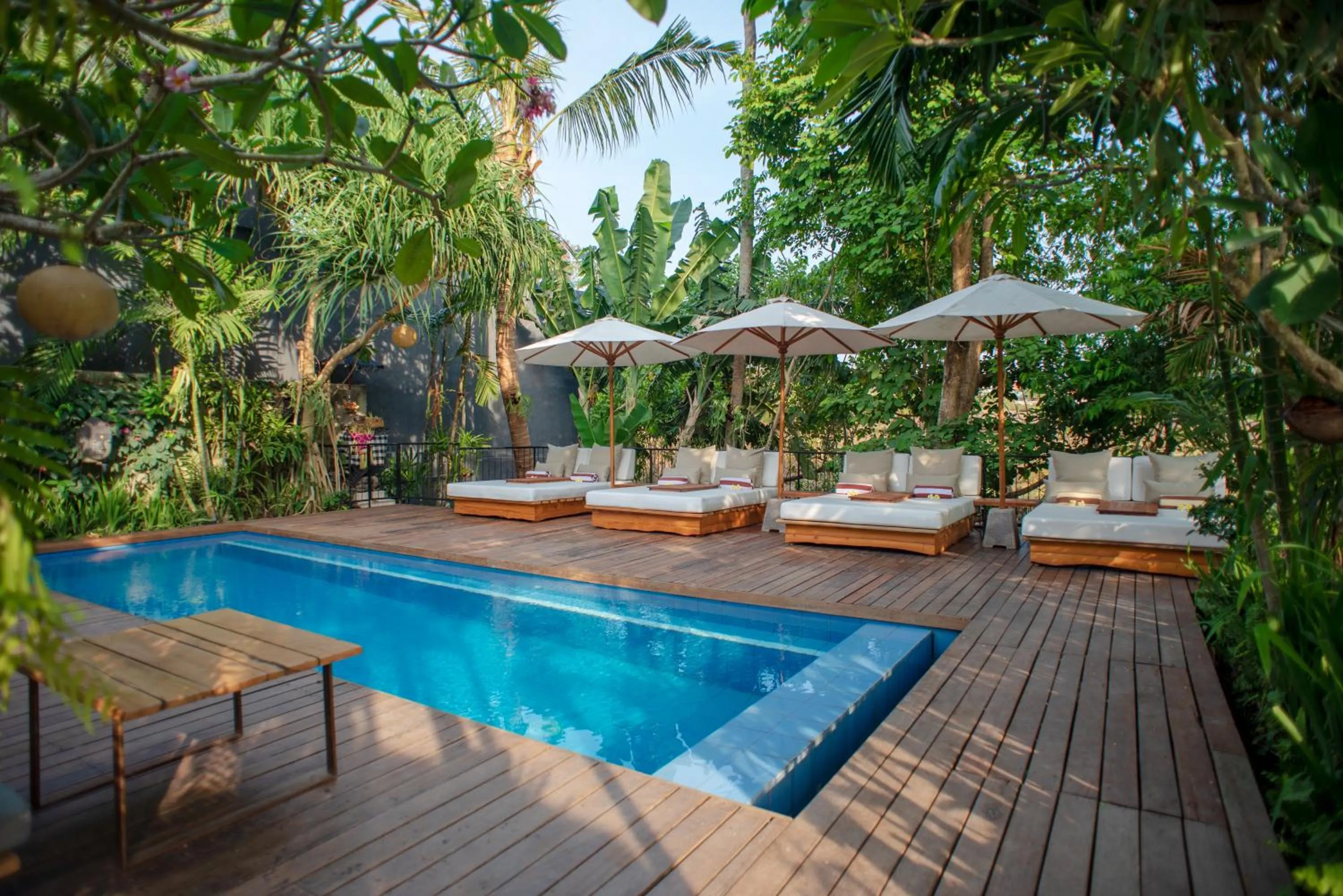 Natural landscape in Pangkung Sari Bed and Breakfast