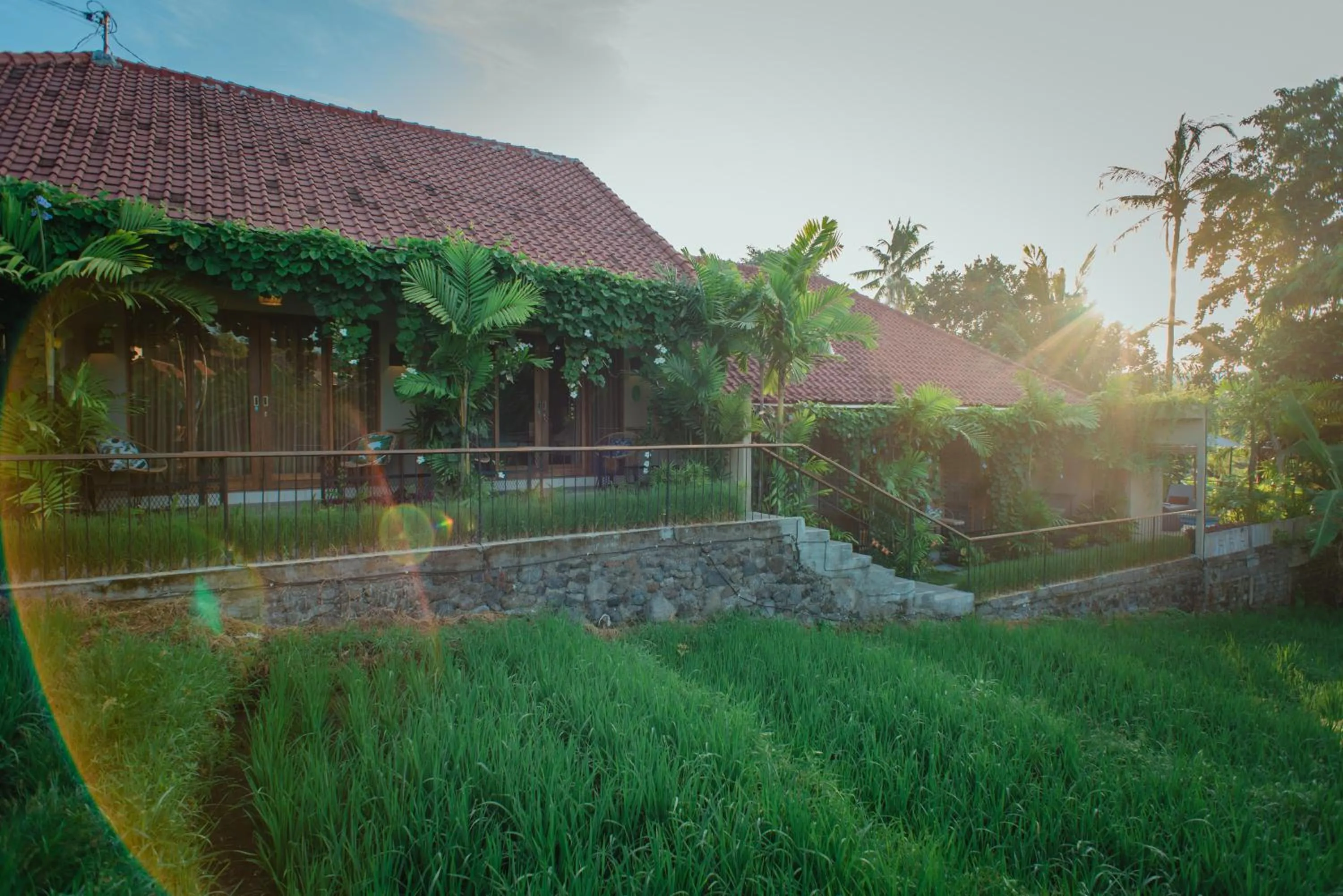 Natural landscape in Pangkung Sari Bed and Breakfast