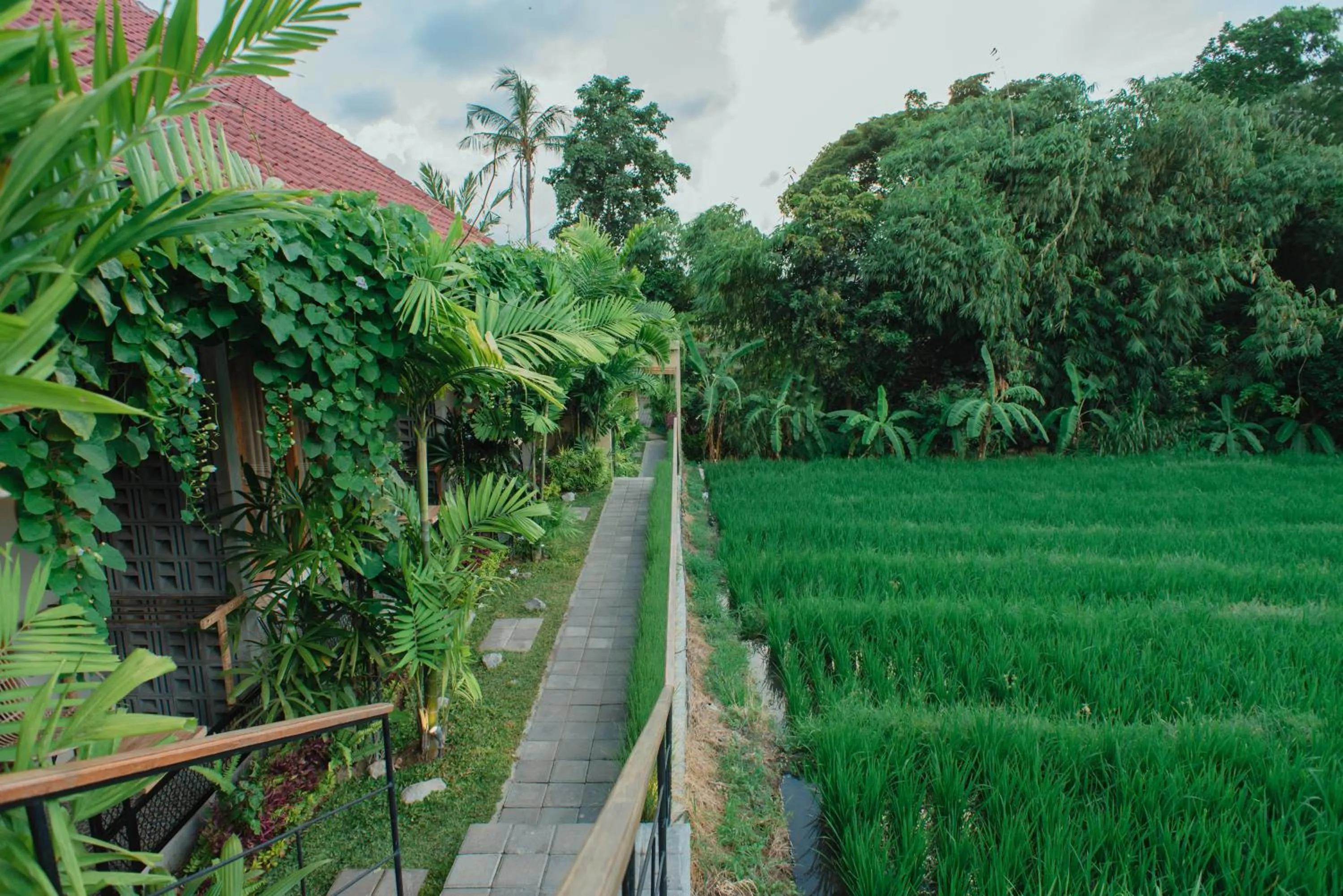 Natural landscape in Pangkung Sari Bed and Breakfast