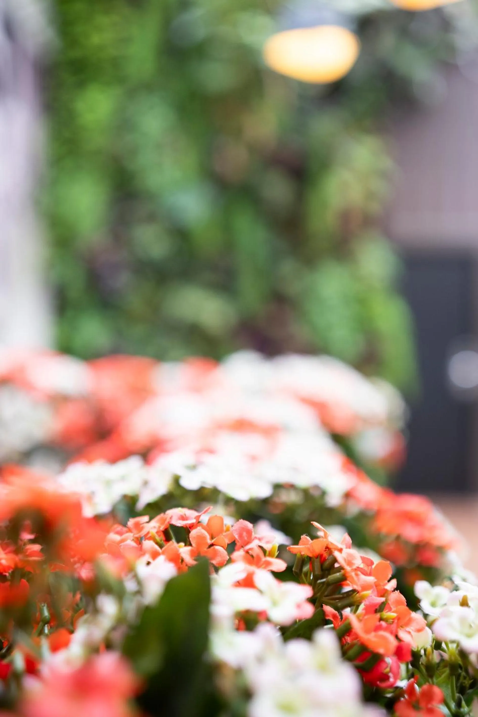 Decorative detail in Hotel Aida Marais