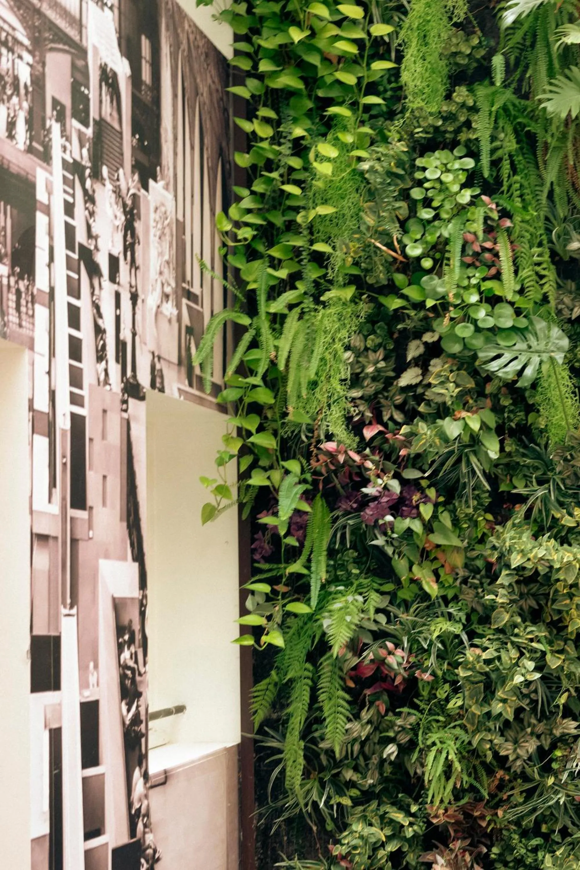 Patio in Hotel Aida Marais