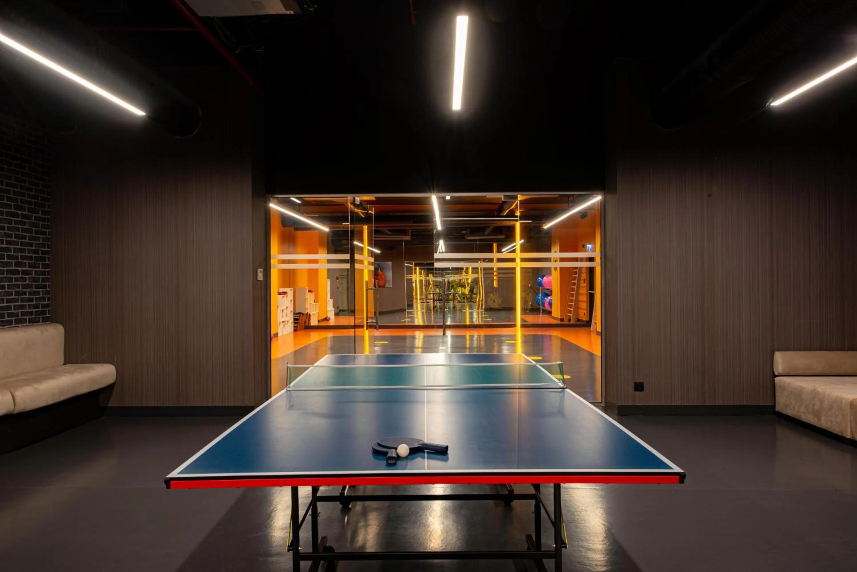 Table tennis in The Craton Hotel Sisli
