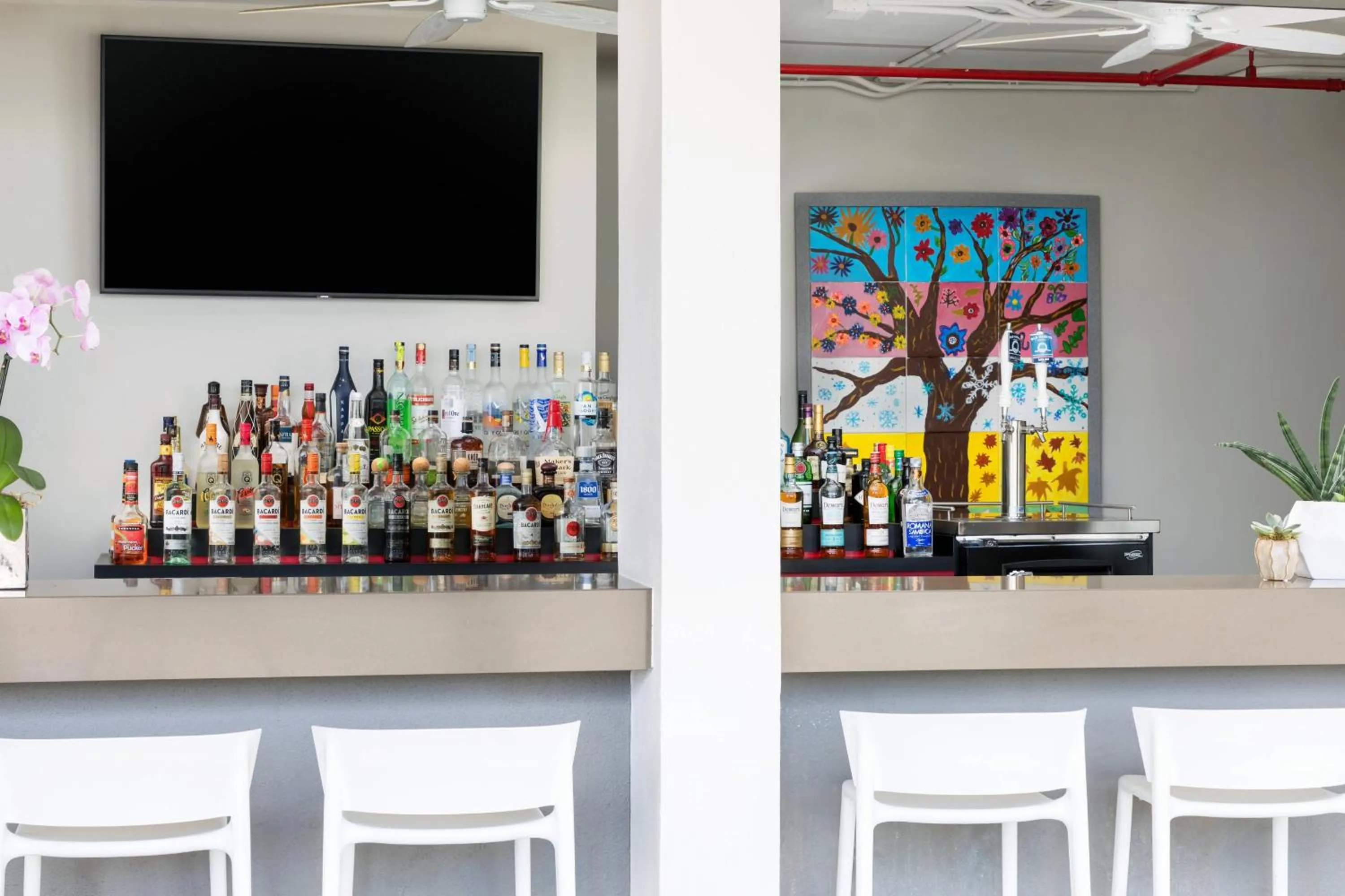 Lounge or bar in AC Hotel by Marriott San Juan Condado