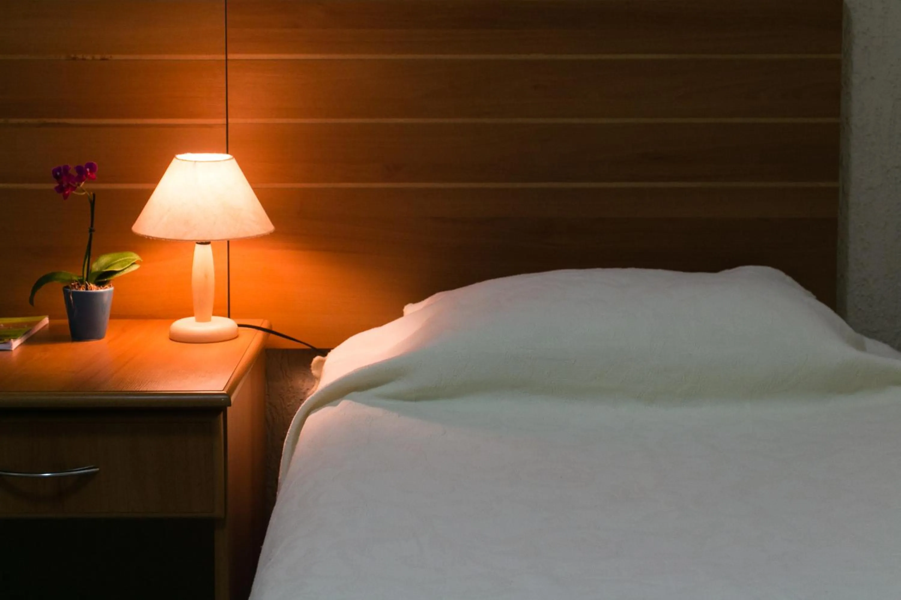 Standard Double Room - single occupancy in Hotel Pousada Bonita - 150m Metrô Paraiso e 1Km do inicio Av Paulista