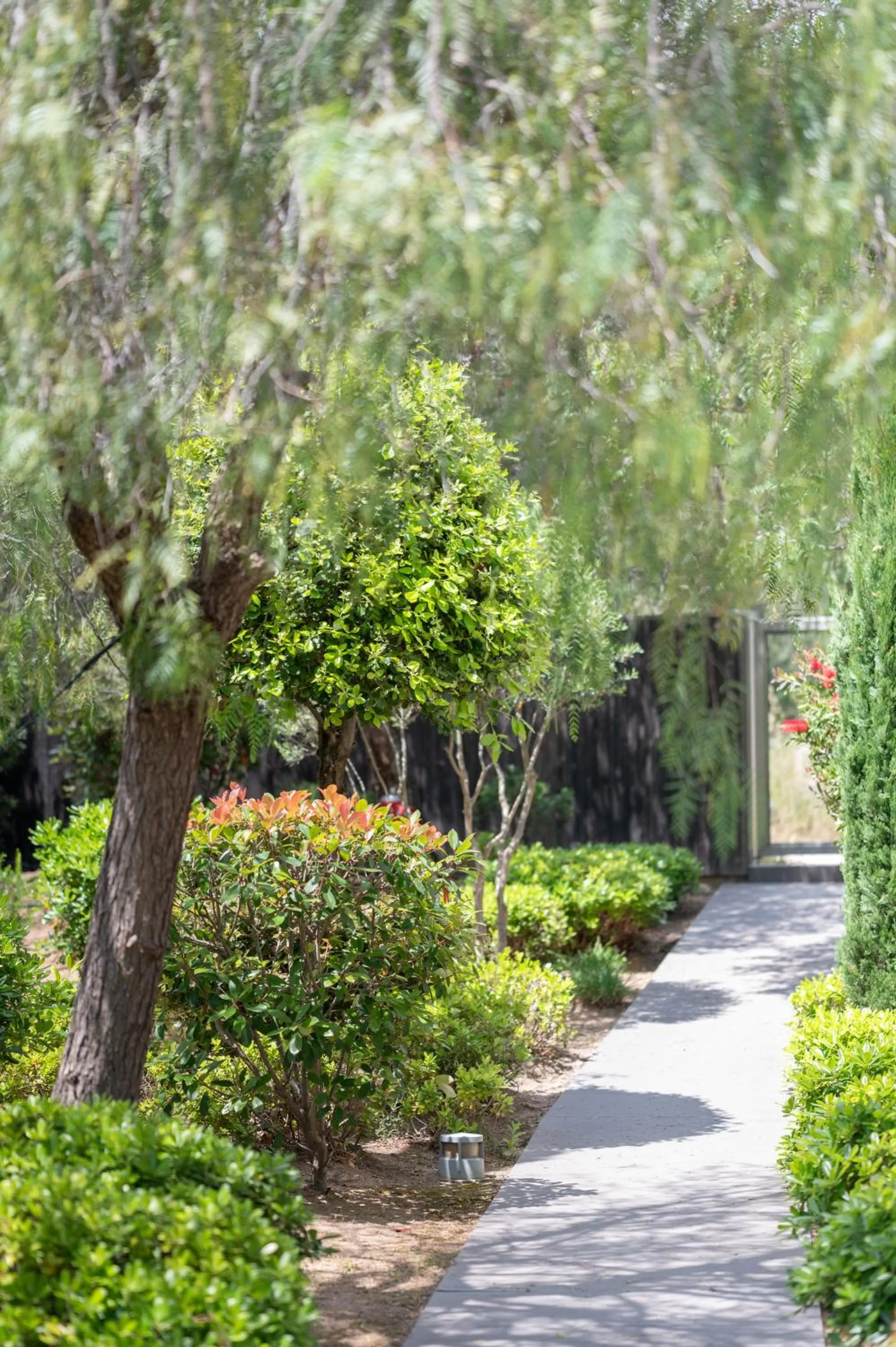 Garden in Costa Nera